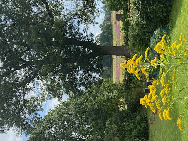 Fremhævet  billede i fuldskærmstilstand. Billede af Voldumvej 14, 2610 Rødovre