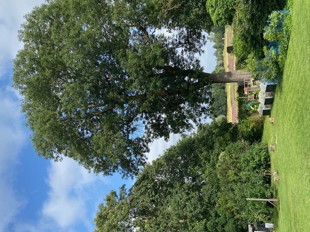 Fremhævet  billede i fuldskærmstilstand. Billede af Voldumvej 14, 2610 Rødovre