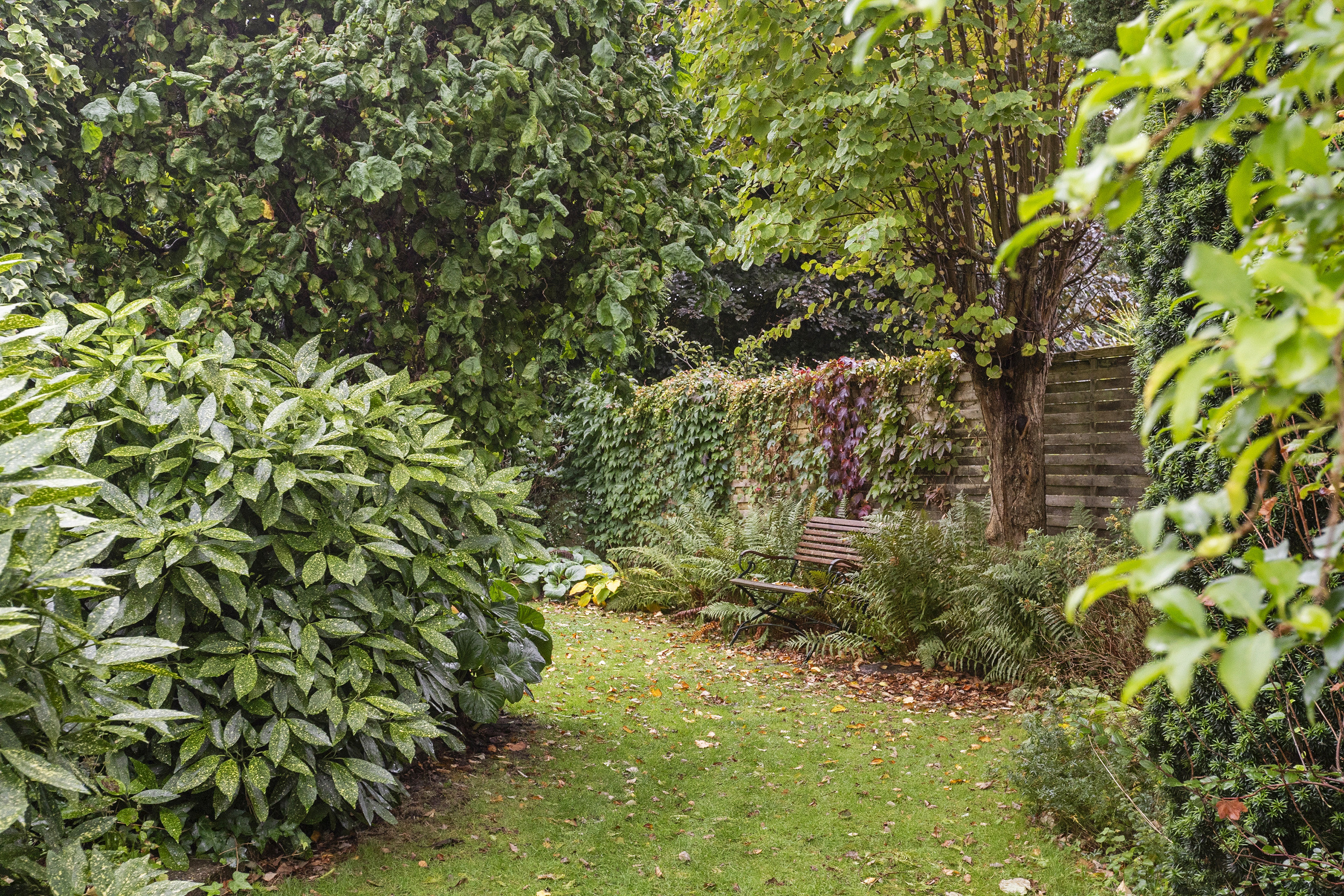 Fremhævet ejendommen billede i fuldskærmstilstand. Billede af Engkær 3, 6100 Haderslev