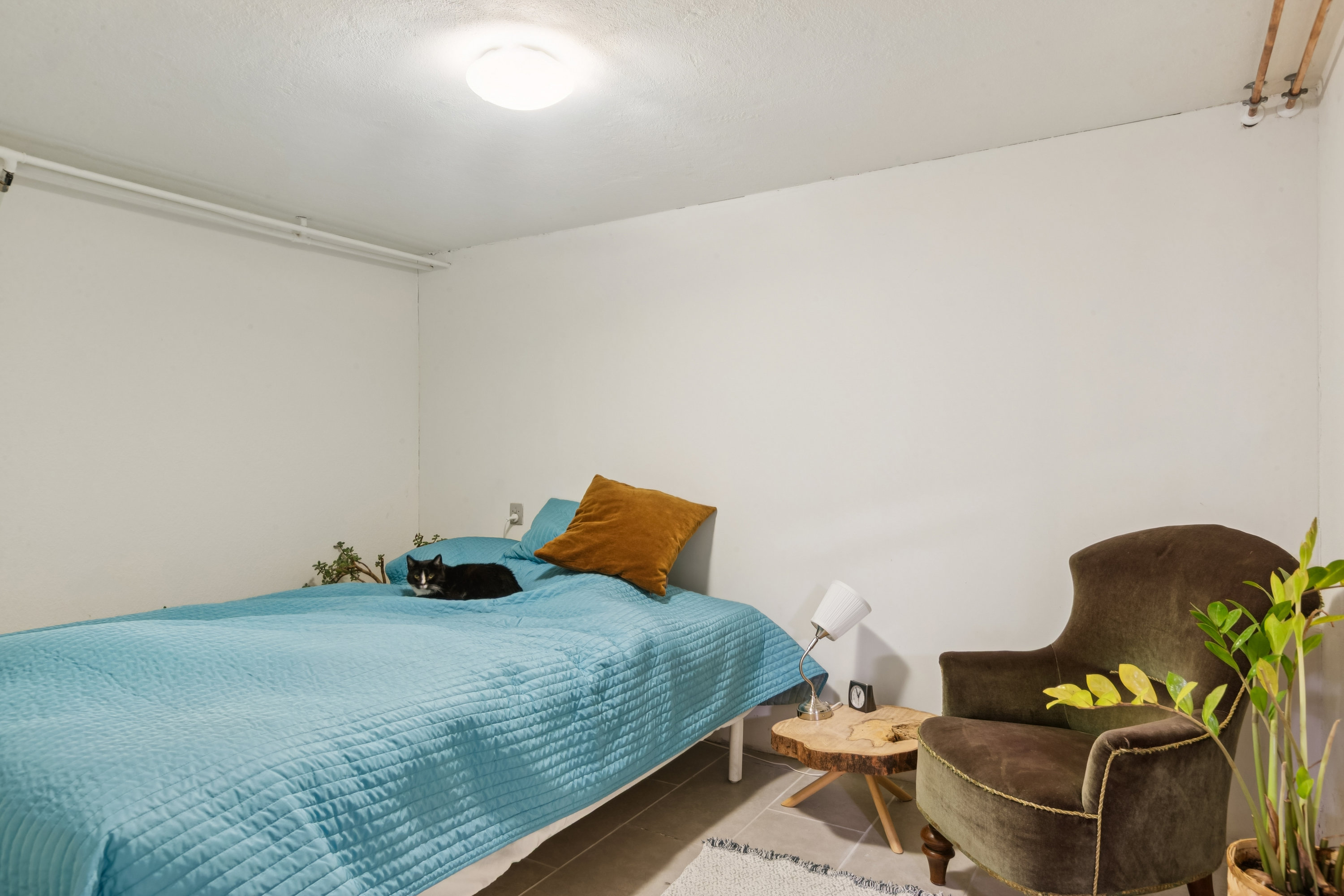 Fremhævet værelse billede i fuldskærmstilstand. Billede af Erik Gudmands Vej 2B, 3140 Ålsgårde