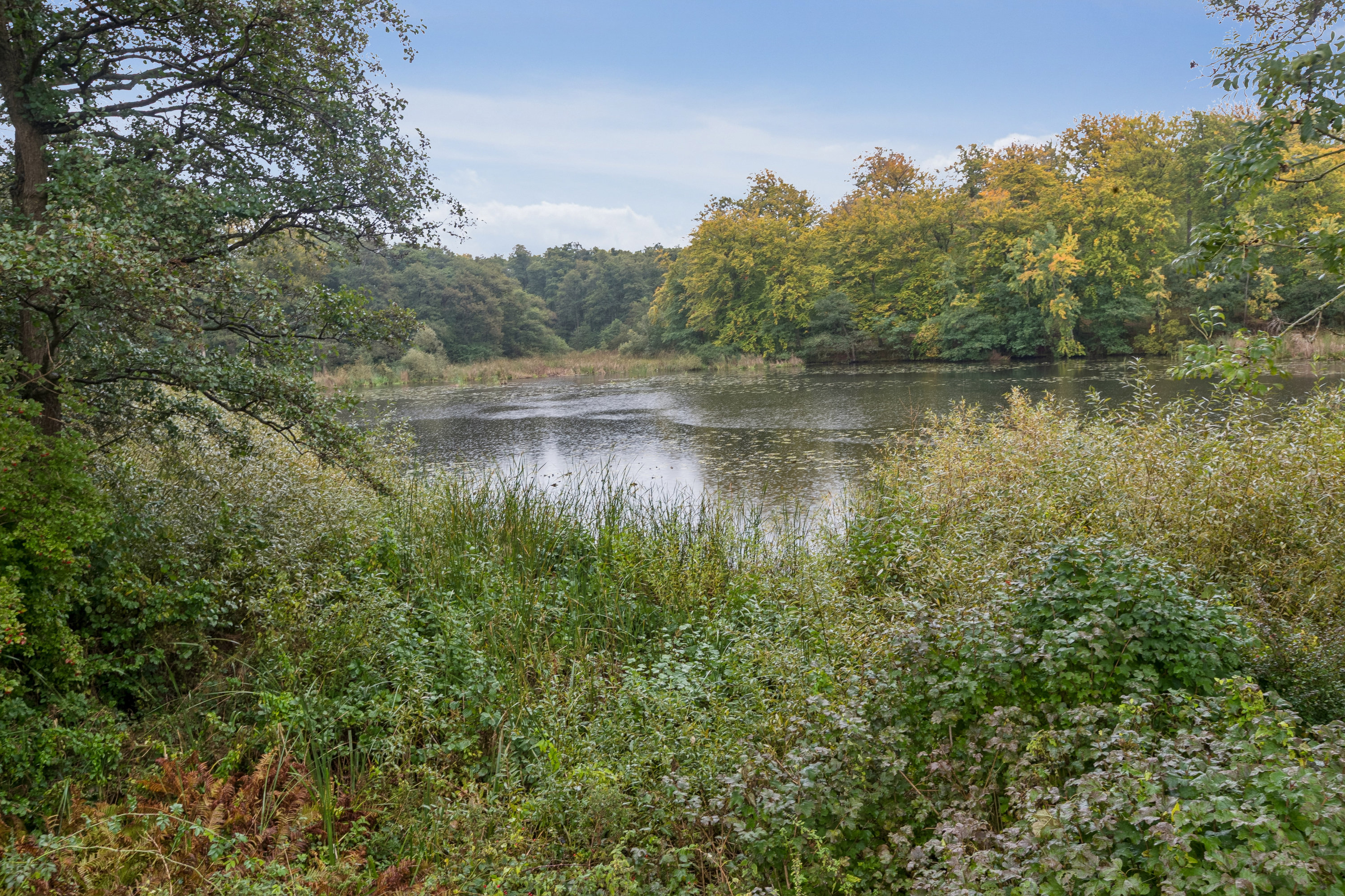 Fremhævet omgivelser billede i fuldskærmstilstand. Billede af Erik Gudmands Vej 2B, 3140 Ålsgårde