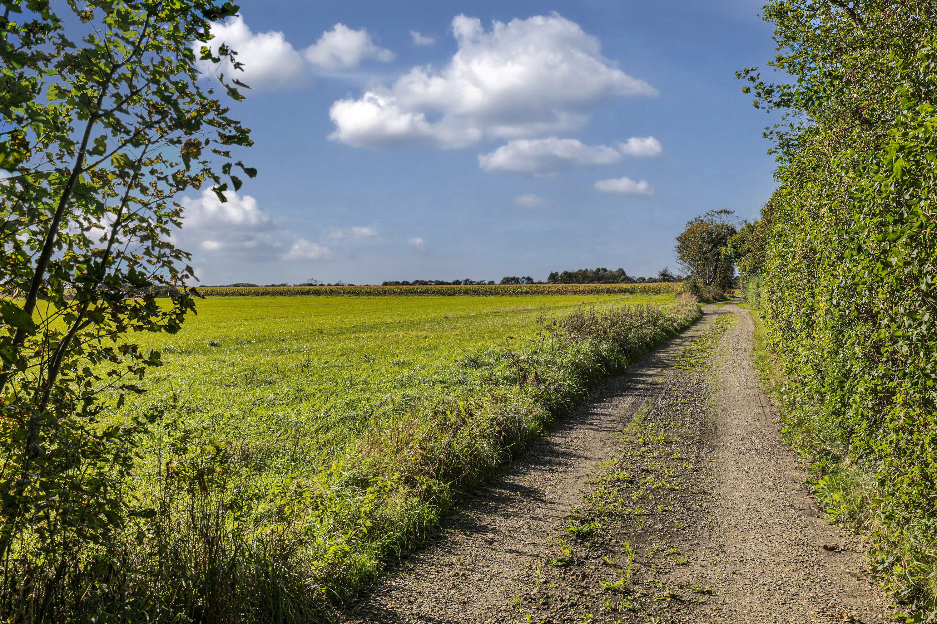 Fremhævet udsigt billede i fuldskærmstilstand. Billede af Puggårdsvej 17, Sejstrup, 6740 Bramming