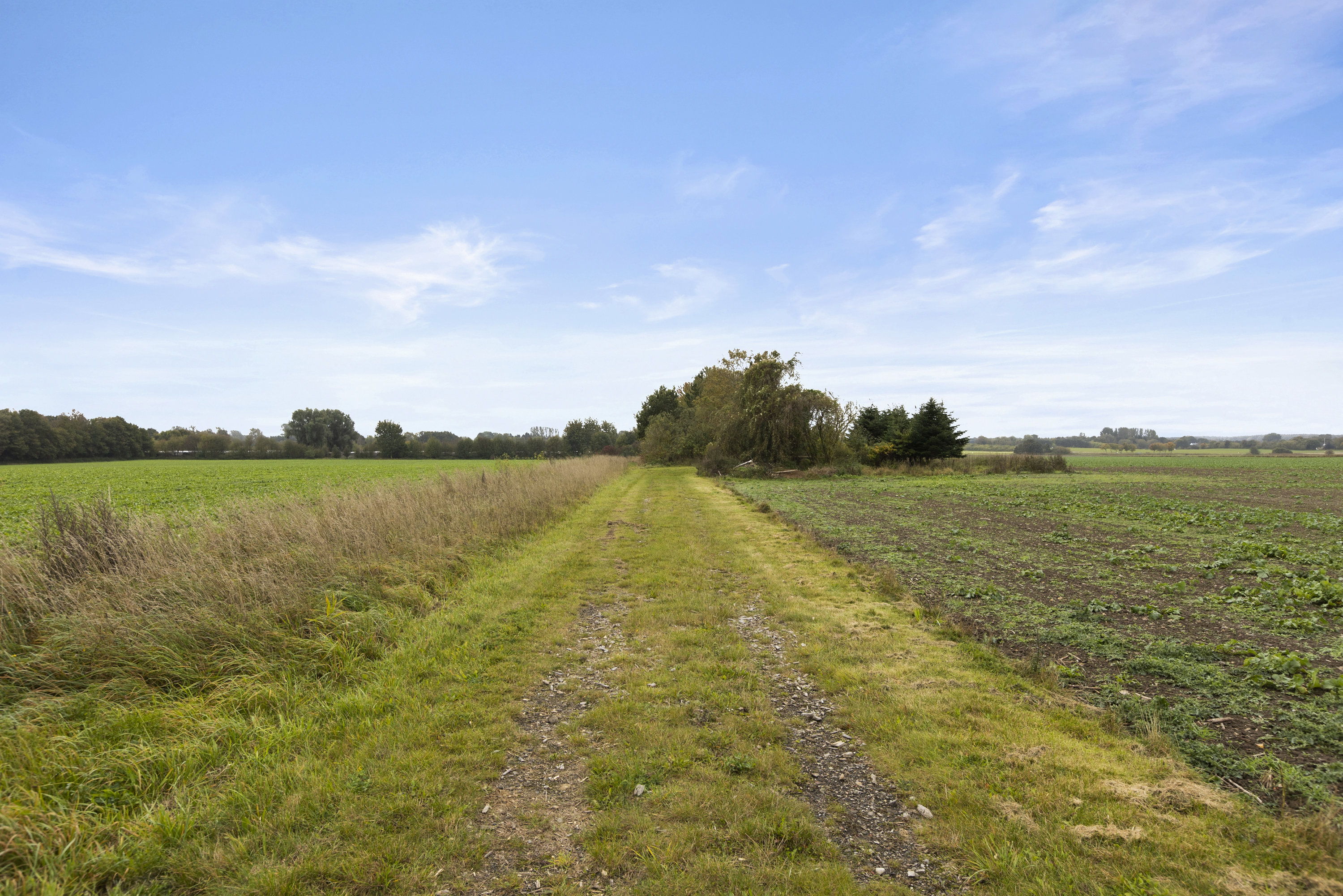 Fremhævet grund billede i fuldskærmstilstand. Billede af Bjernede Kirkevej 20, 4180 Sorø