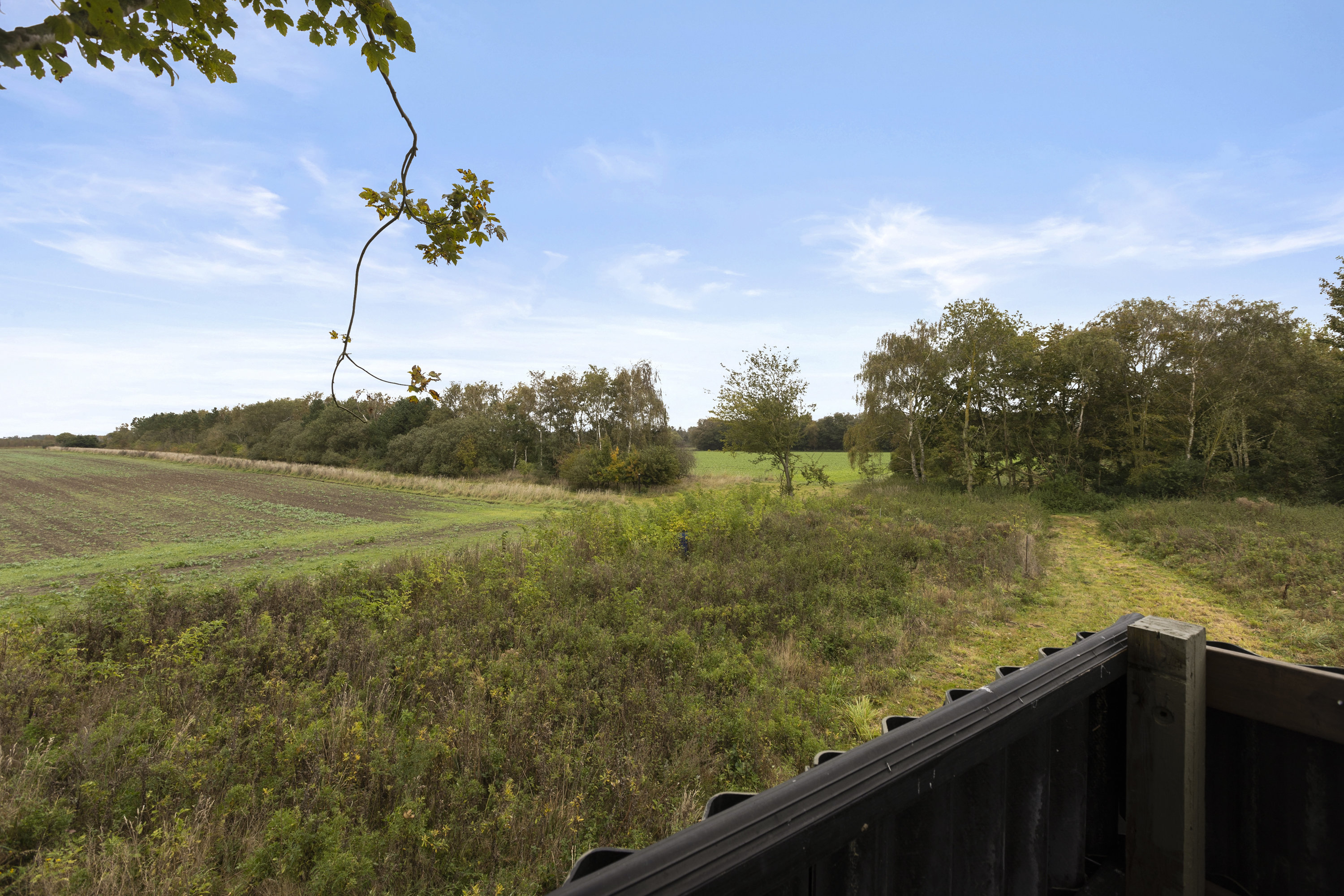 Miniaturebillede 1: grund. Billede af Bjernede Kirkevej 20, 4180 Sorø