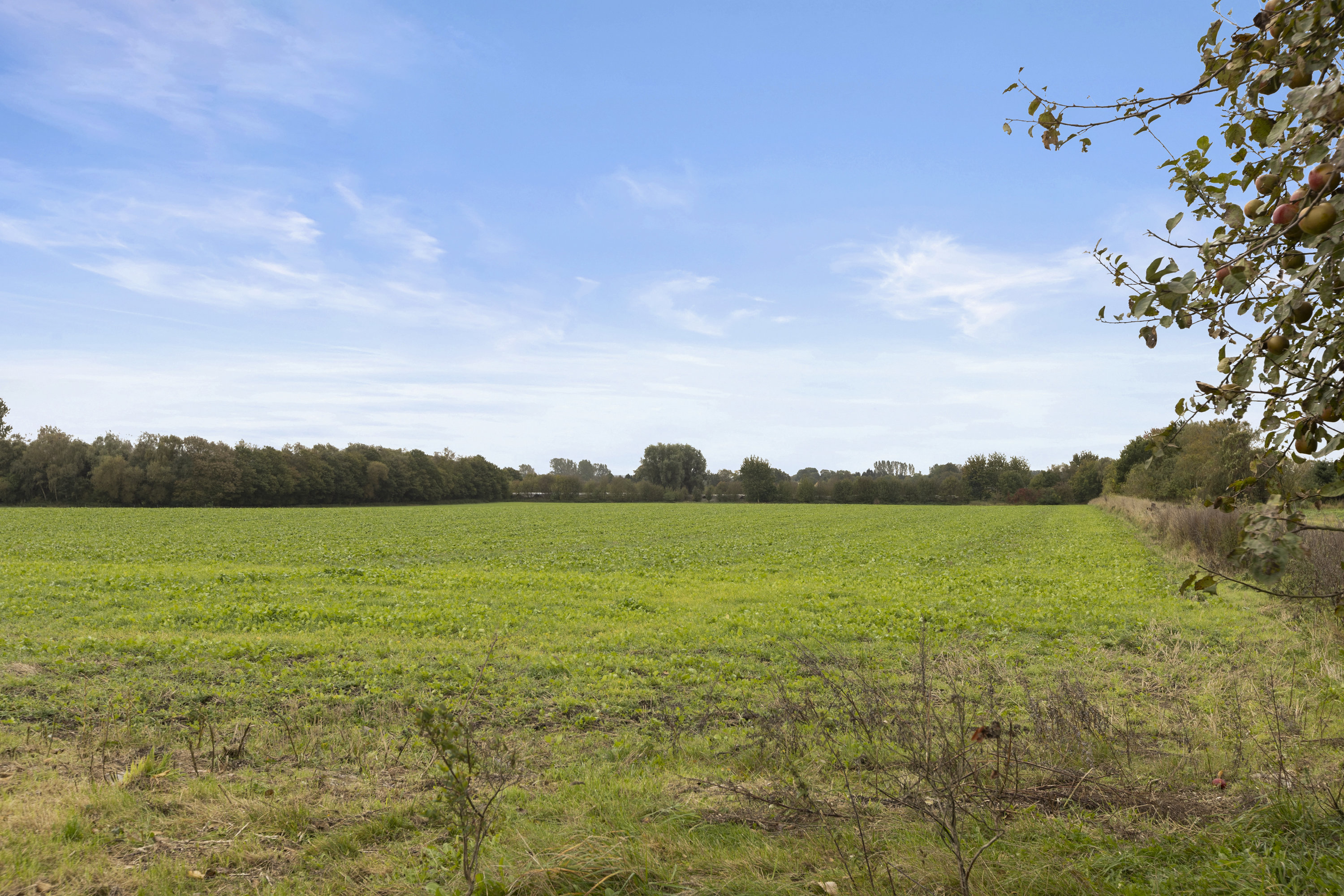 Fremhævet grund billede i fuldskærmstilstand. Billede af Bjernede Kirkevej 20, 4180 Sorø