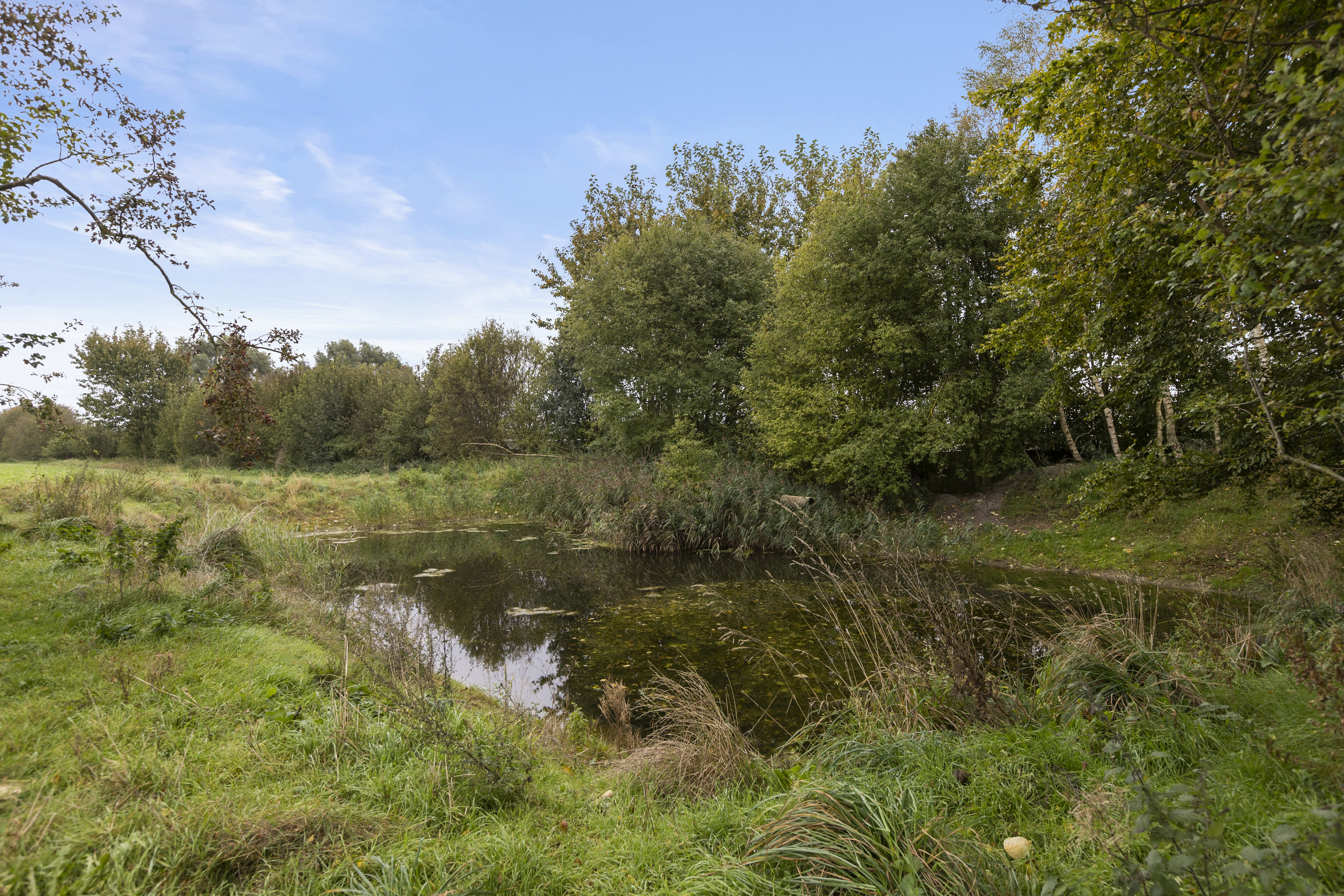 Fremhævet grund billede i fuldskærmstilstand. Billede af Bjernede Kirkevej 20, 4180 Sorø