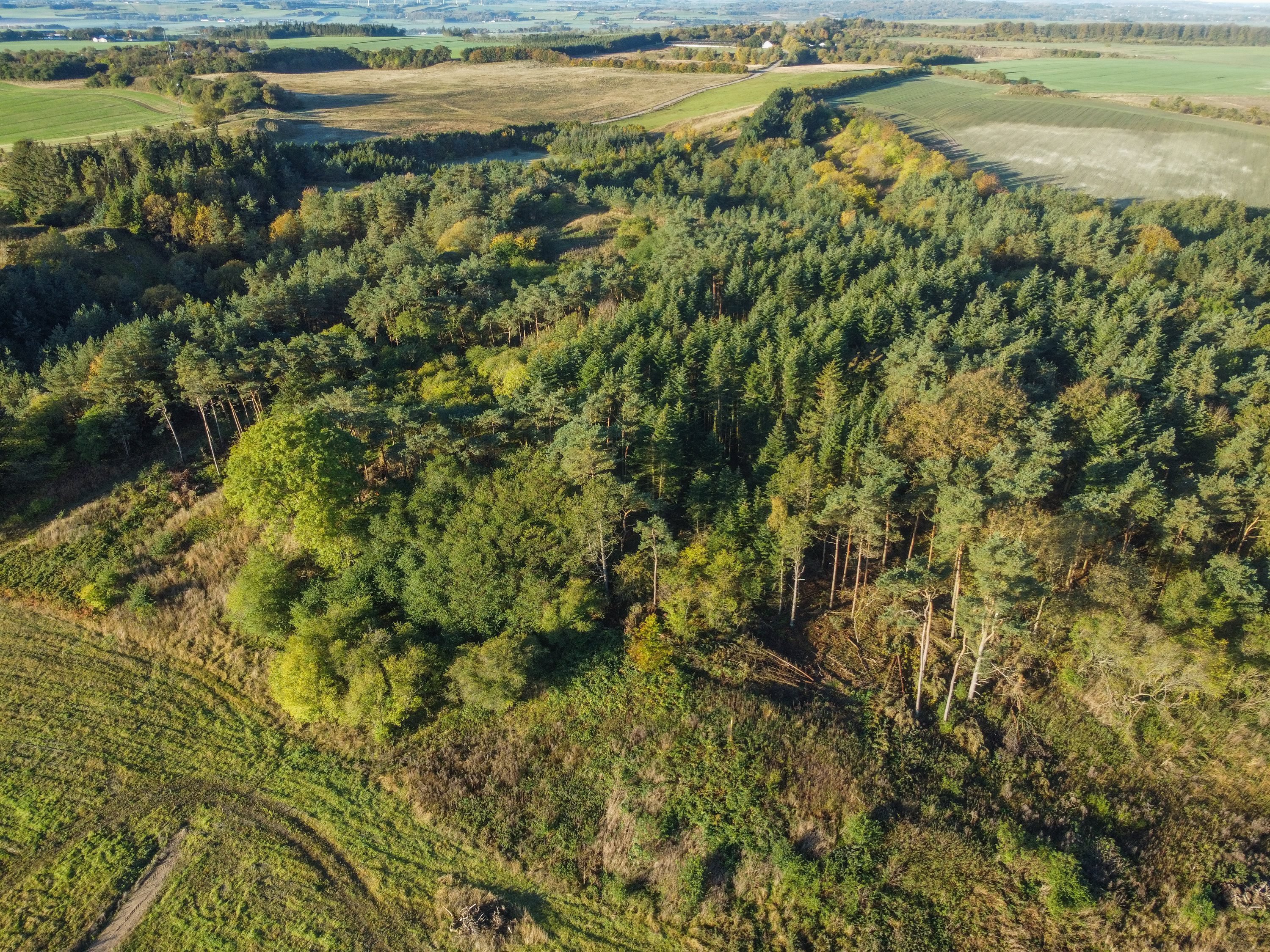 Miniaturebillede 1: . Billede af Sejlflodsgårdsvej 41, Sejlflod , 9280 Storvorde