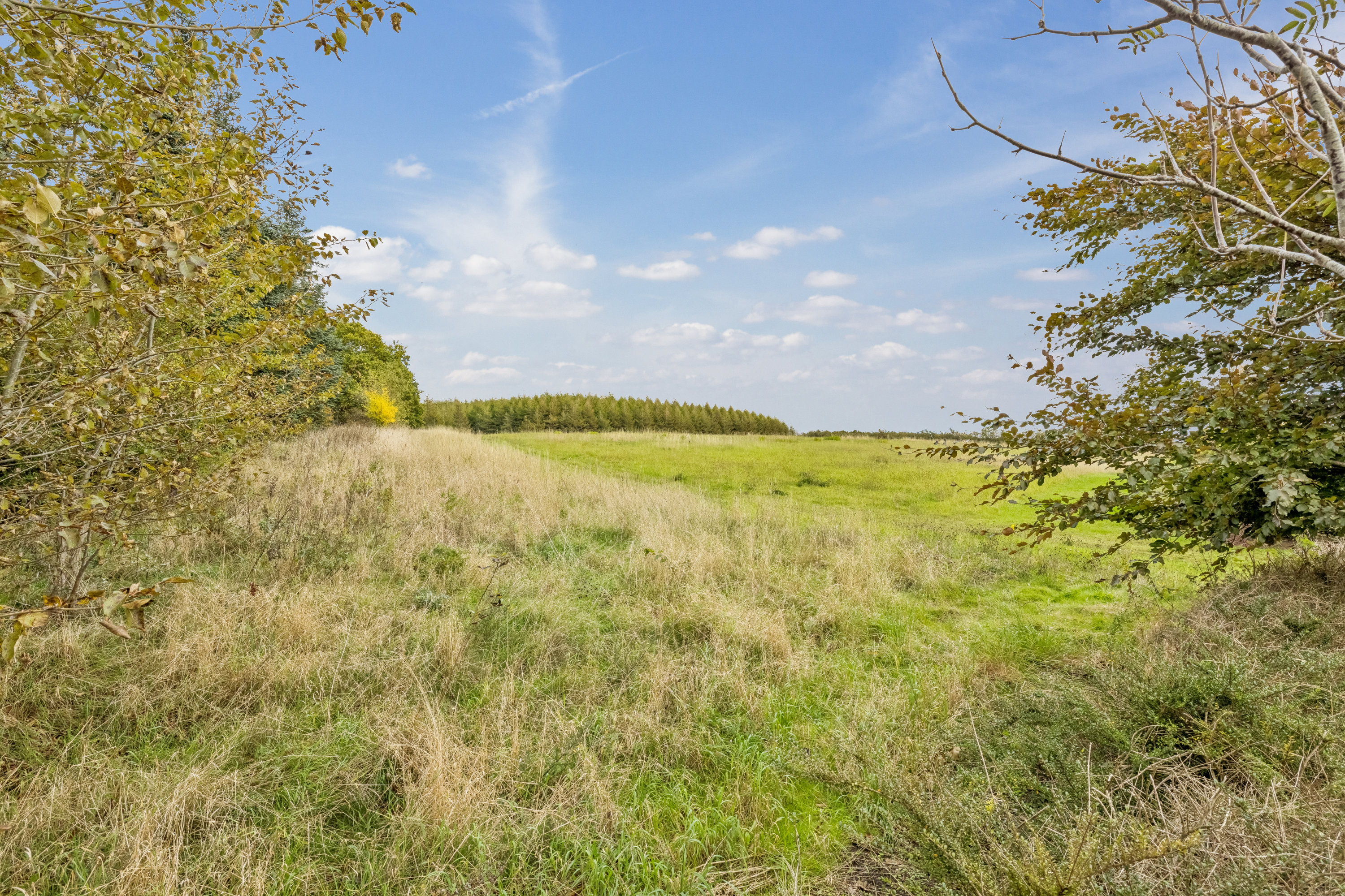 Fremhævet  billede i fuldskærmstilstand. Billede af Bøgevej 15, Pindstrup, 8550 Ryomgård