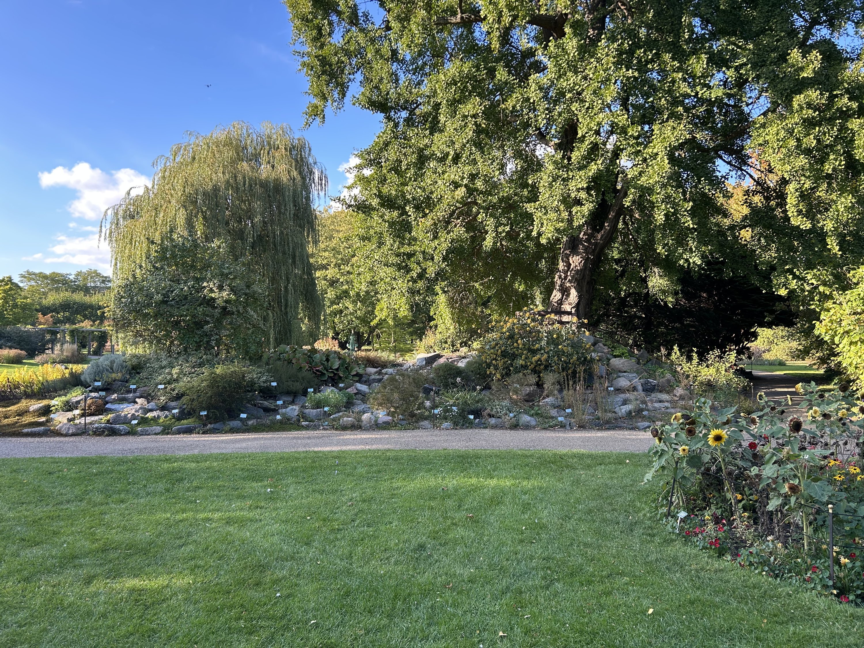 Fremhævet  billede i fuldskærmstilstand. Billede af H.C. Ørsteds Vej 31, st.. tv., 1879 Frederiksberg C