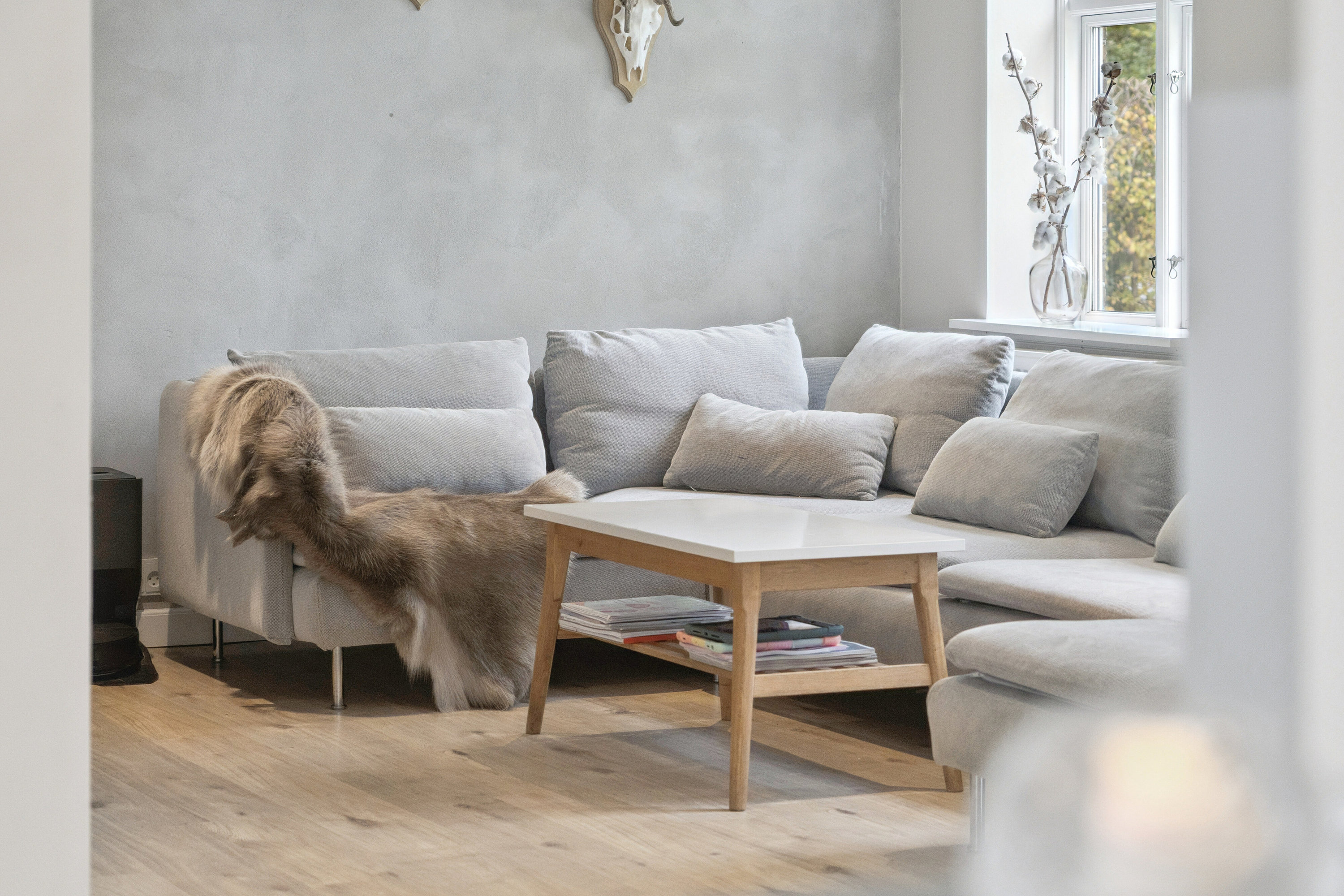 Fremhævet indendørs billede i fuldskærmstilstand. Billede af Møllevej 40, Tornemark, 4262 Sandved