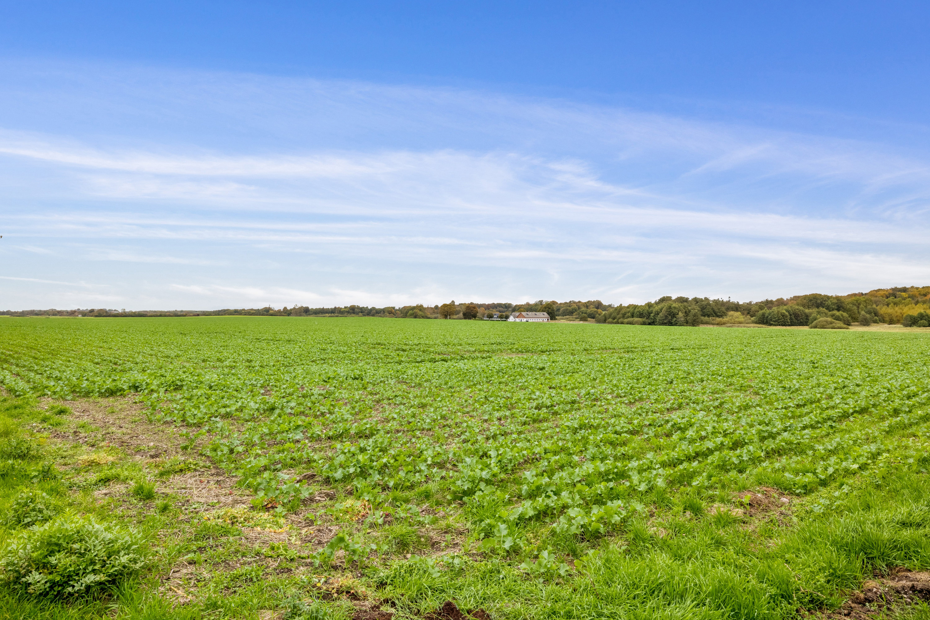 Fremhævet andet billede i fuldskærmstilstand. Billede af Vestergade 36, 8444 Balle
