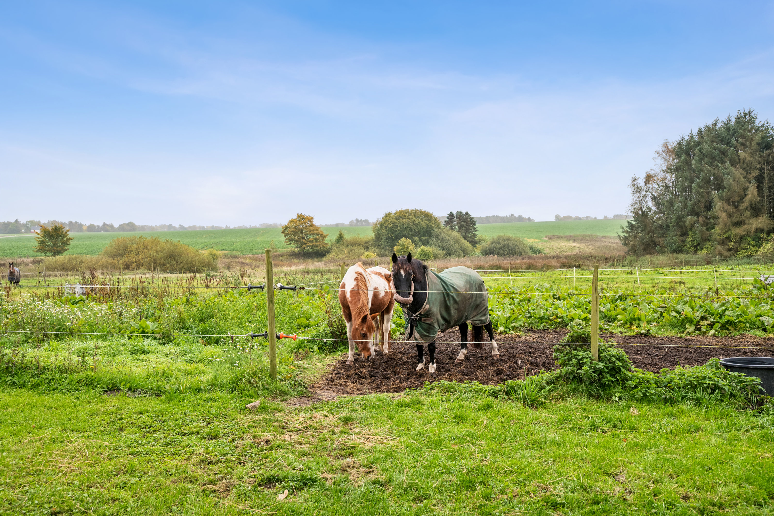 Fremhævet omgivelser billede i fuldskærmstilstand. Billede af Solkærvej 5, Tinning, 8382 Hinnerup