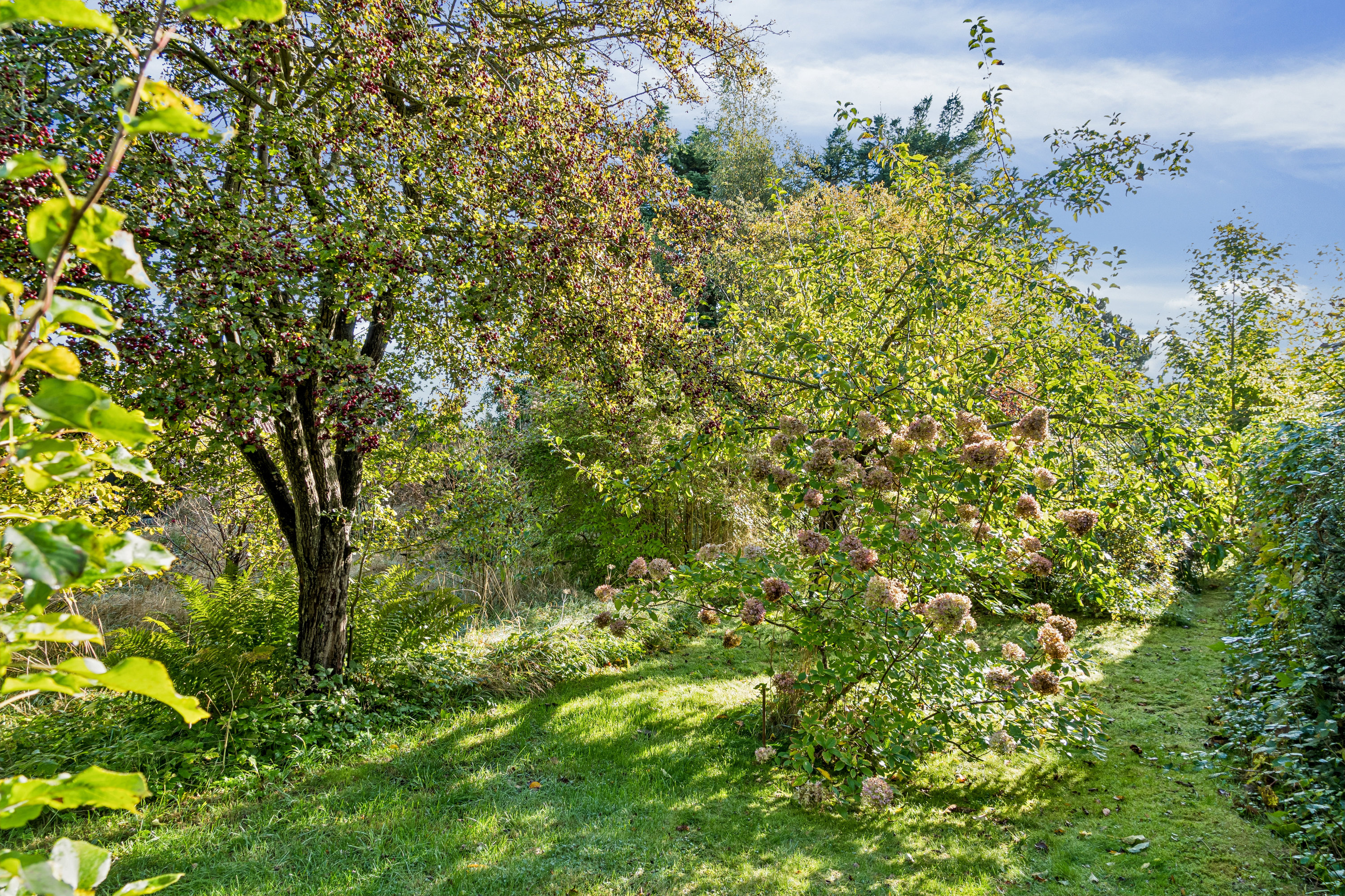 Fremhævet have billede i fuldskærmstilstand. Billede af Østerhegn 47, 2880 Bagsværd