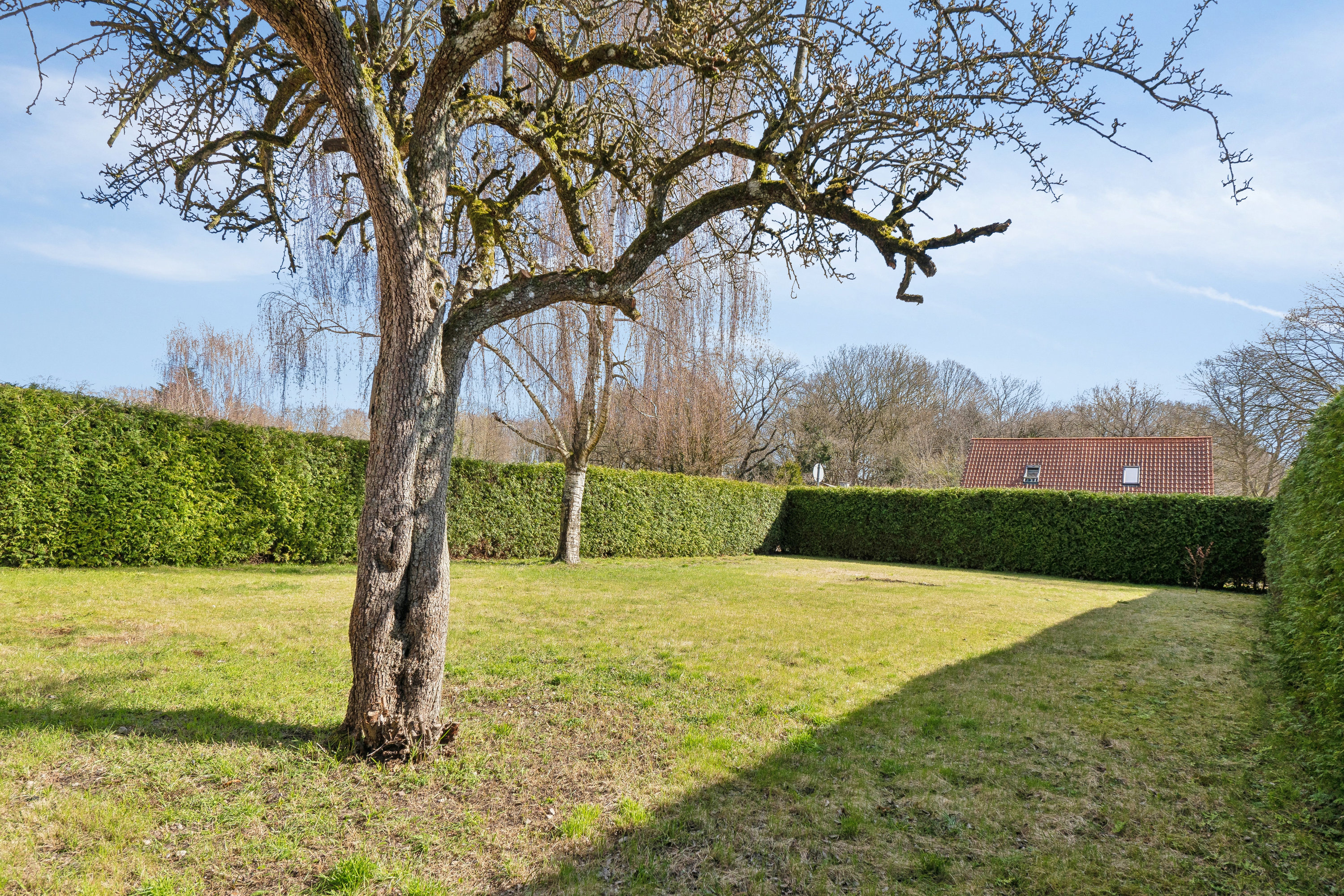 Fremhævet have billede i fuldskærmstilstand. Billede af Stenløsevej 76, Hjallese, 5260 Odense S