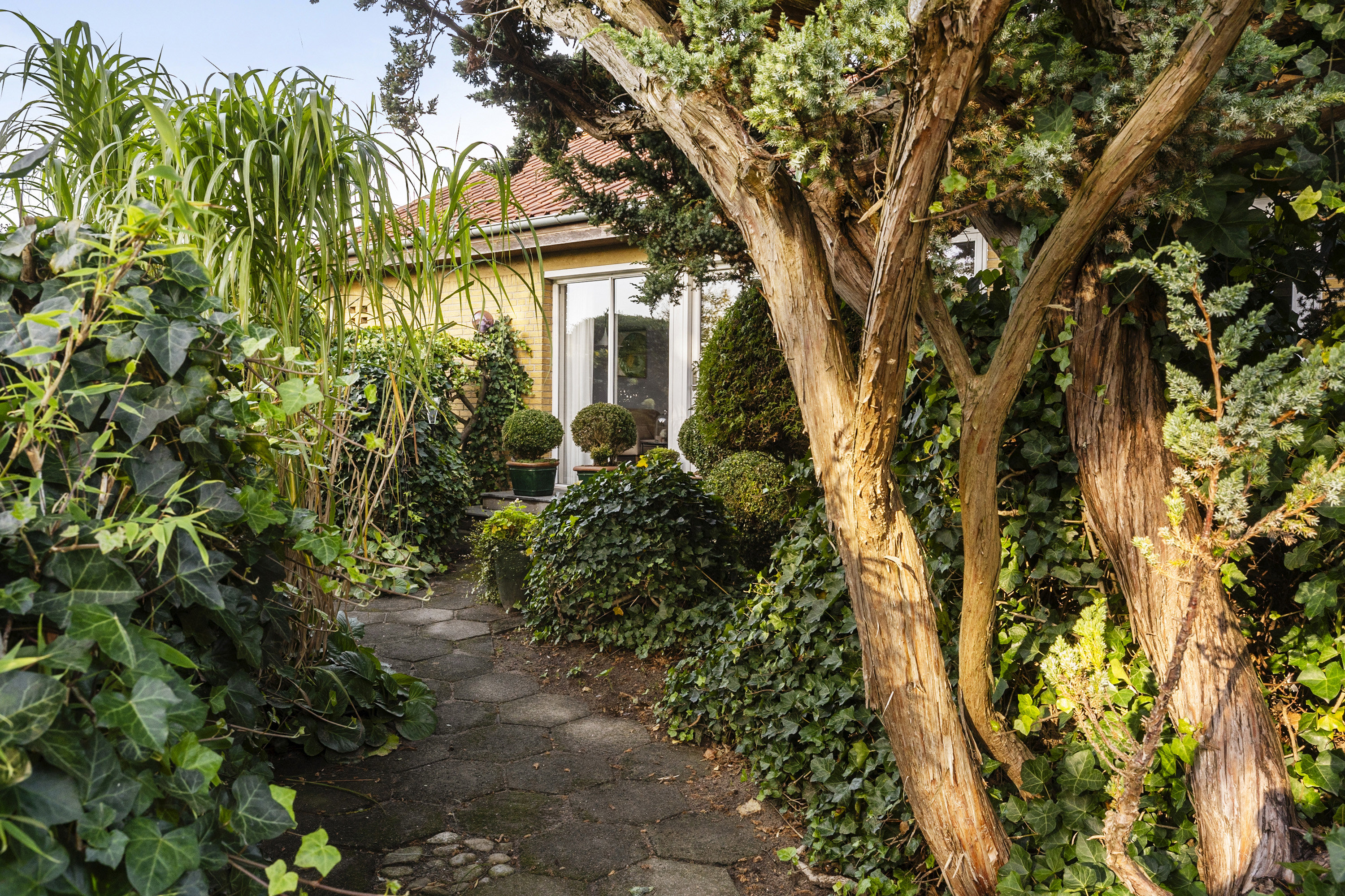 Fremhævet  billede i fuldskærmstilstand. Billede af Toftevej 1, Lund, 8700 Horsens