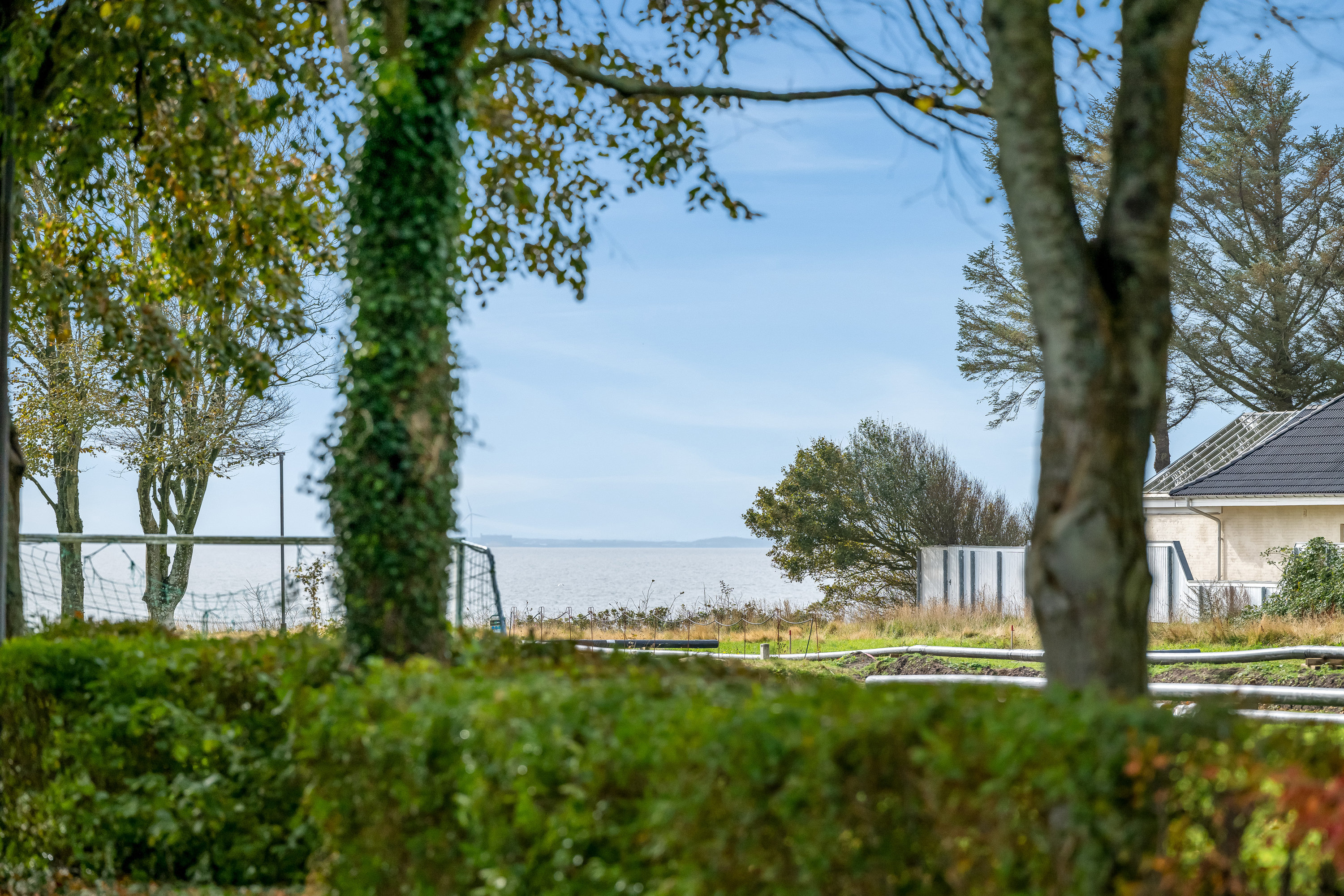 Miniaturebillede 2: have. Billede af Bellisvej 14, 6950 Ringkøbing