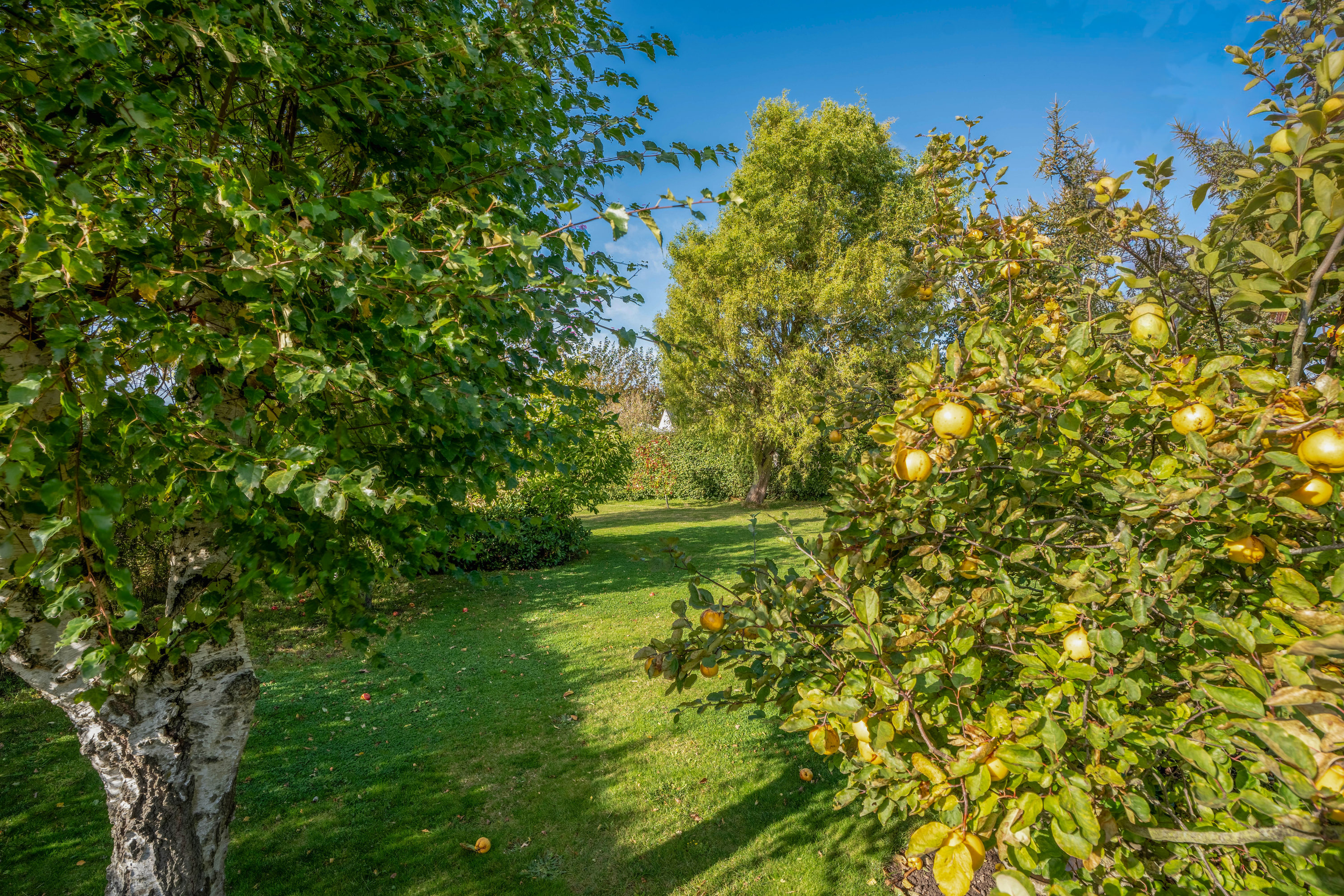 Miniaturebillede 2: . Billede af Strandbyvej 65, Strandby, 5683 Haarby