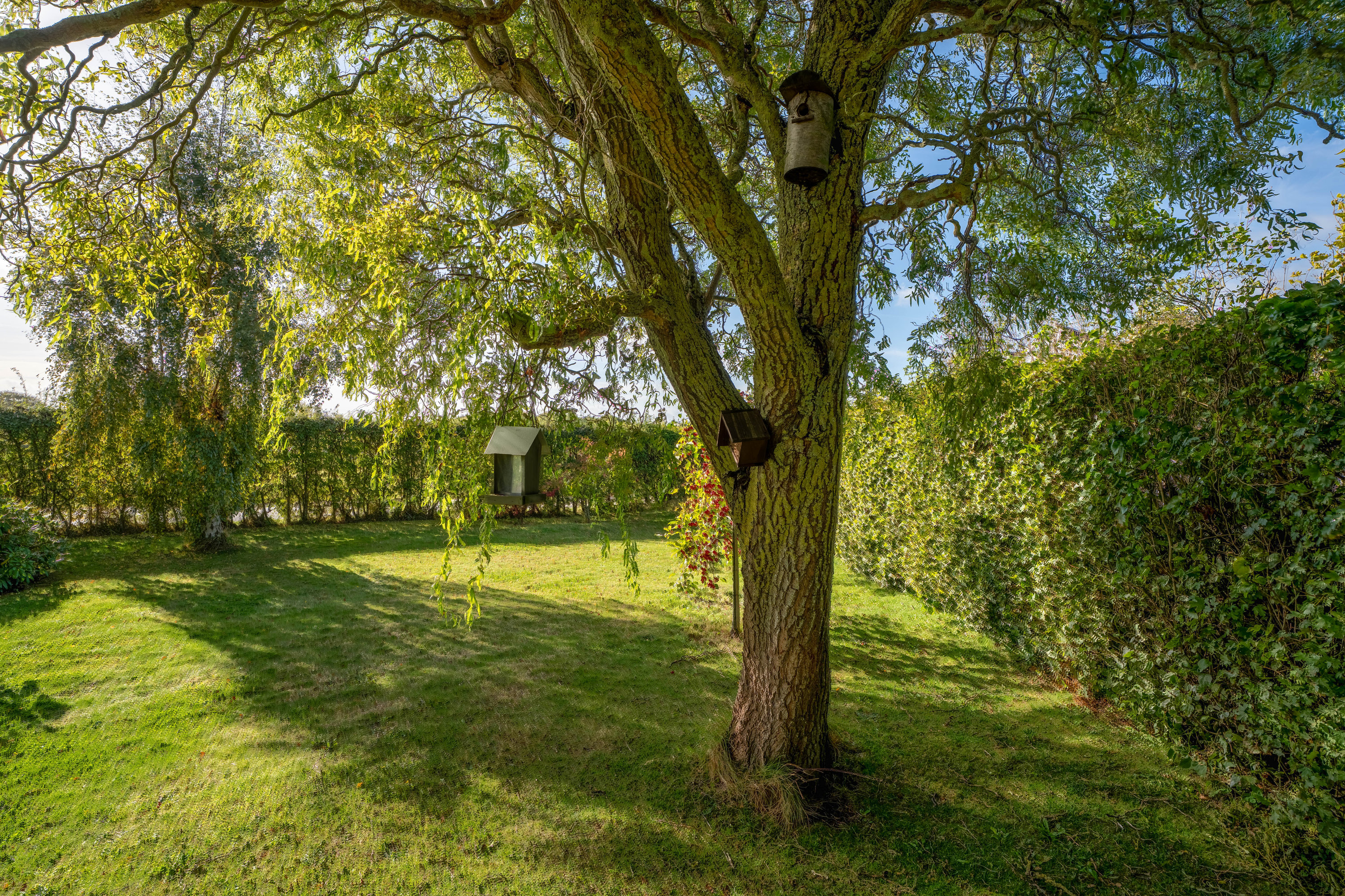 Fremhævet  billede i fuldskærmstilstand. Billede af Strandbyvej 65, Strandby, 5683 Haarby