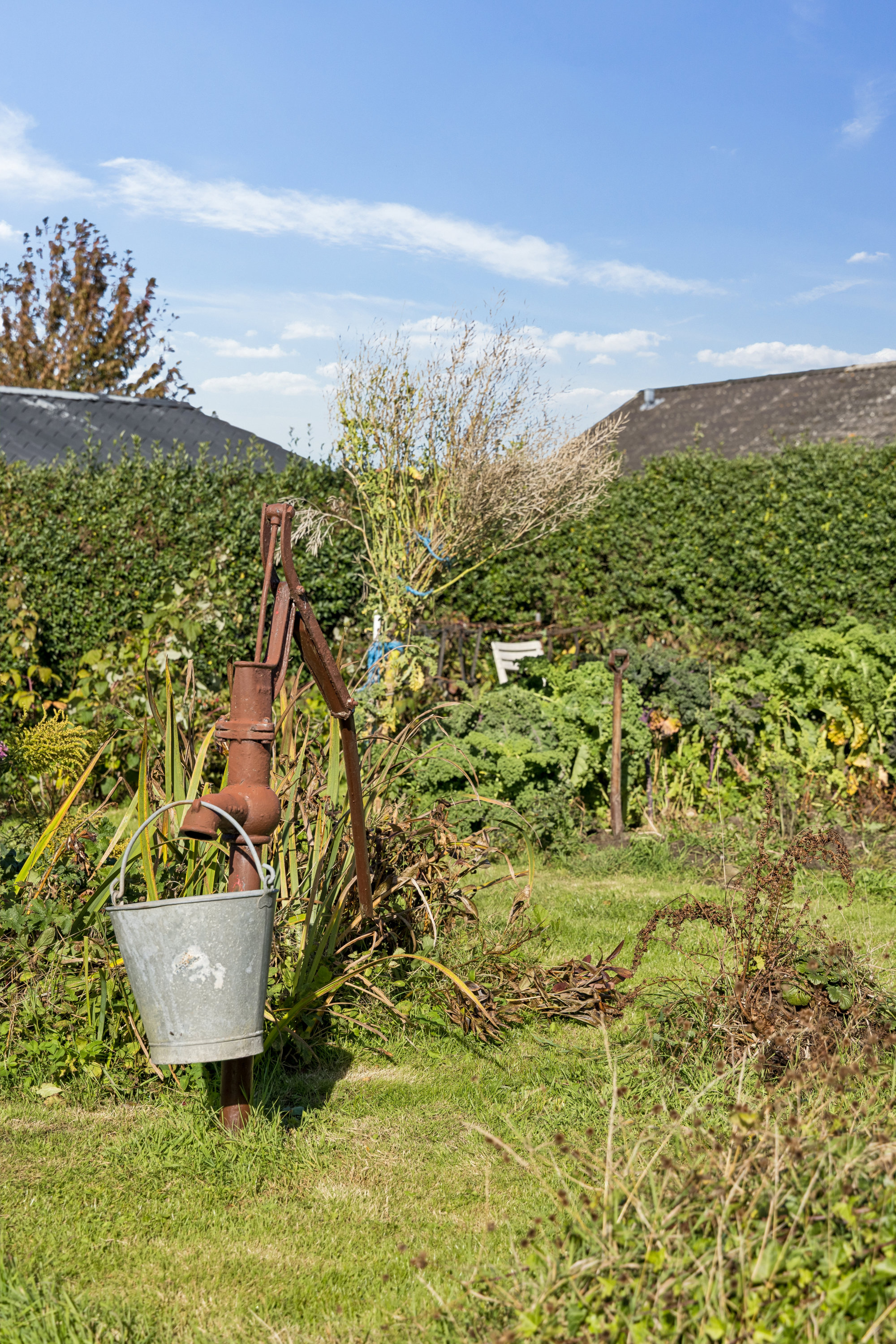 Fremhævet  billede i fuldskærmstilstand. Billede af Tingparken 41, 8950 Ørsted