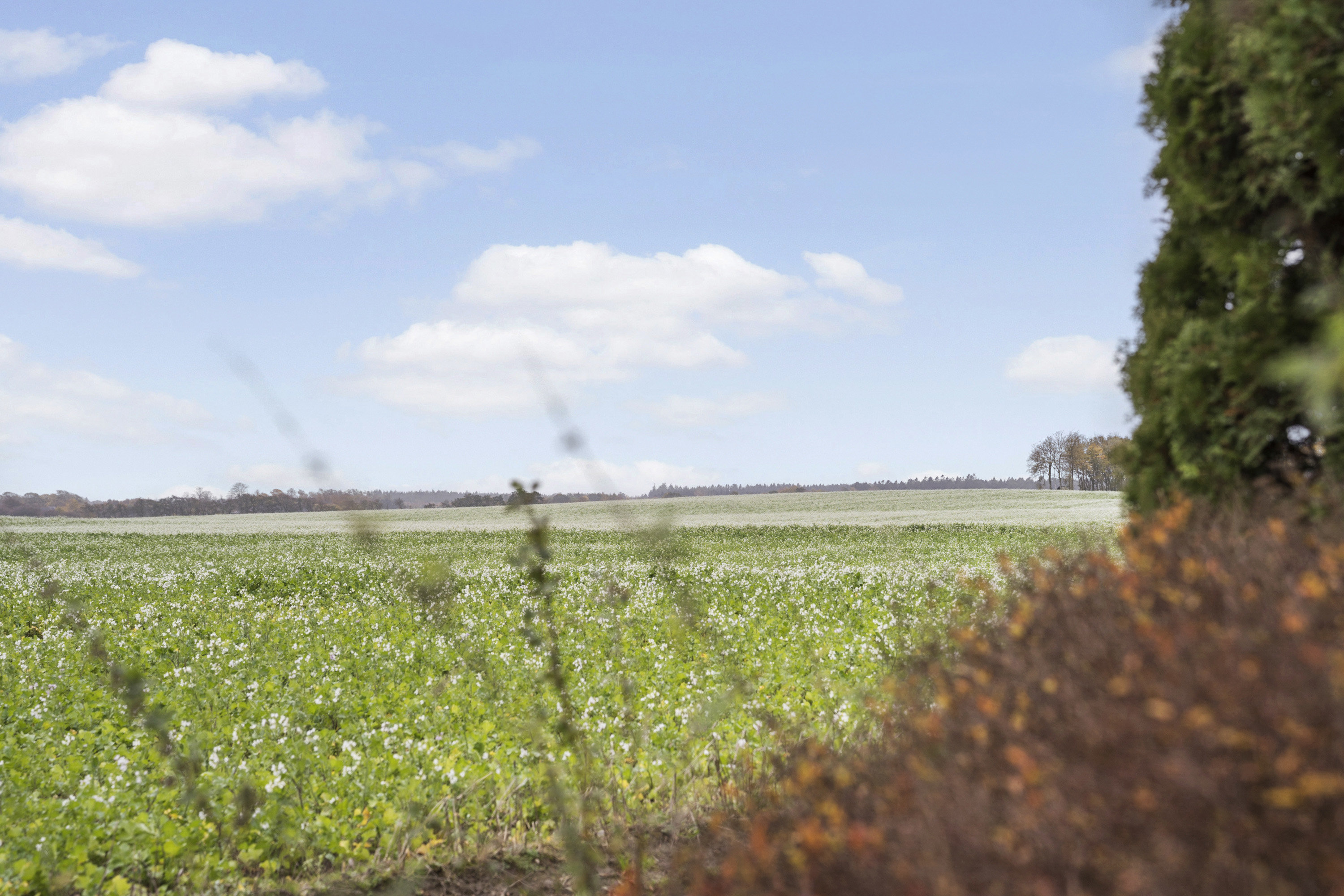 Fremhævet  billede i fuldskærmstilstand. Billede af Grågårdevej 13, Thorning , 8620 Kjellerup