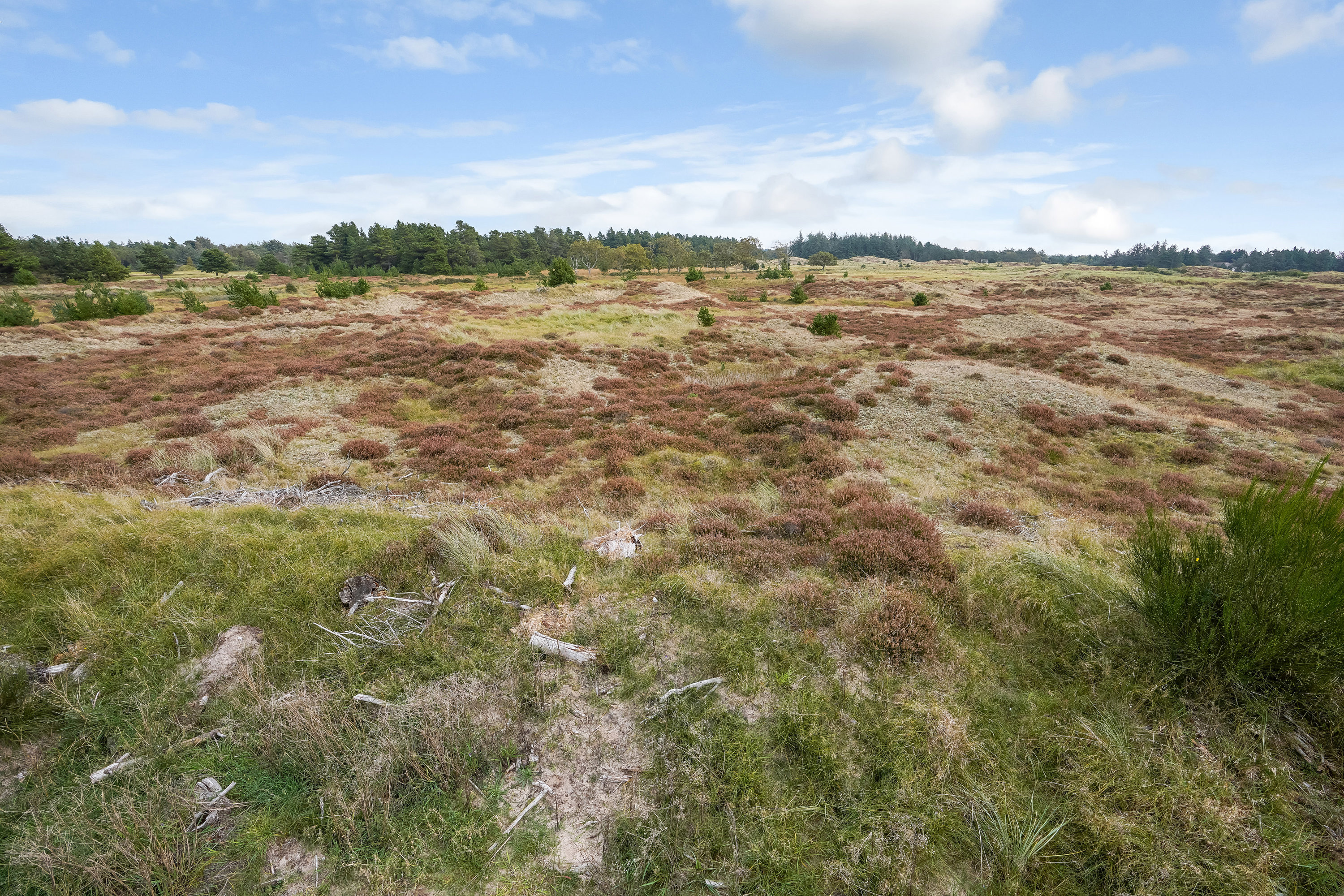 Fremhævet  billede i fuldskærmstilstand. Billede af Gl Mælkevej 68, 6857 Blåvand