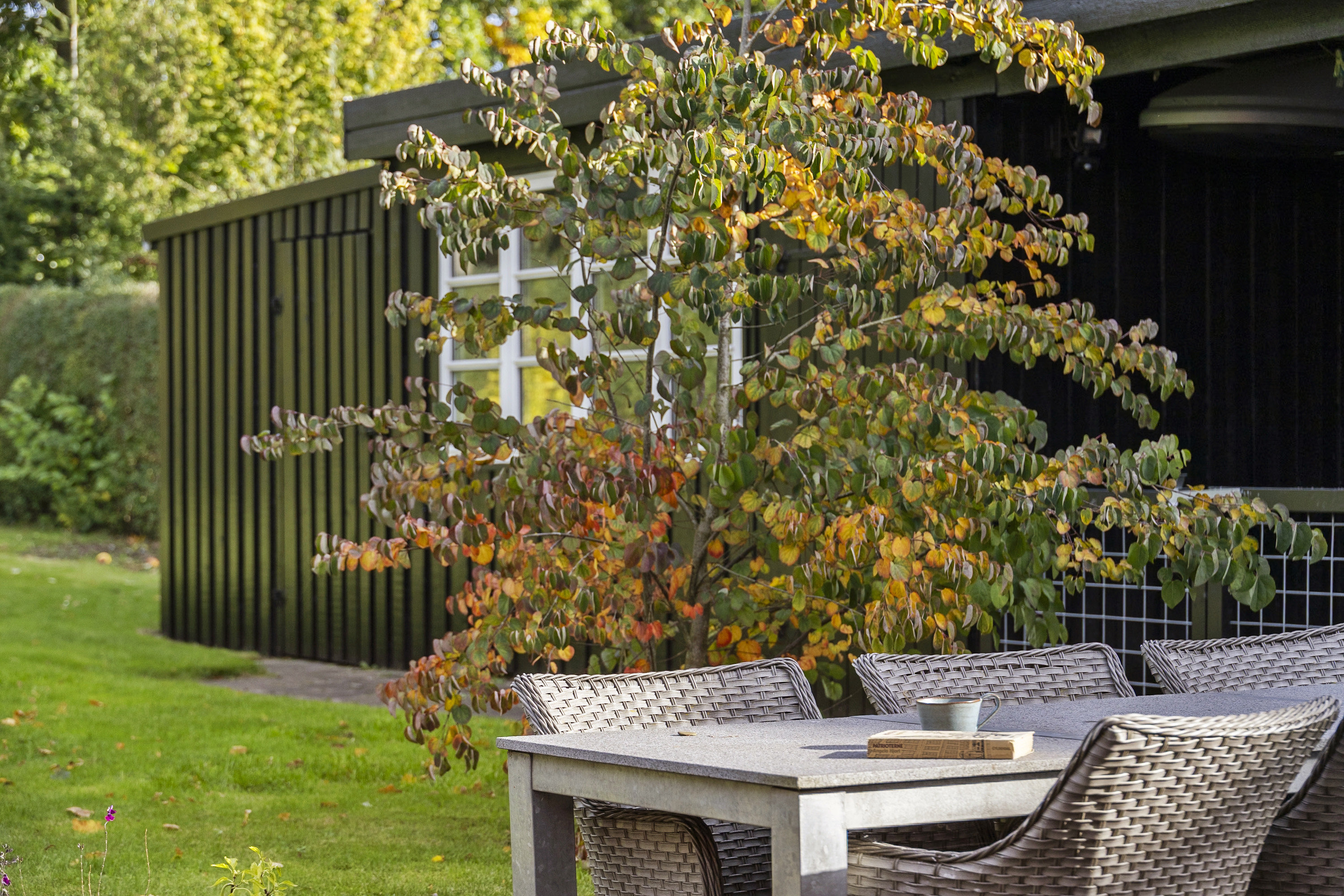 Fremhævet  billede i fuldskærmstilstand. Billede af Dalgade 15, 6100 Haderslev