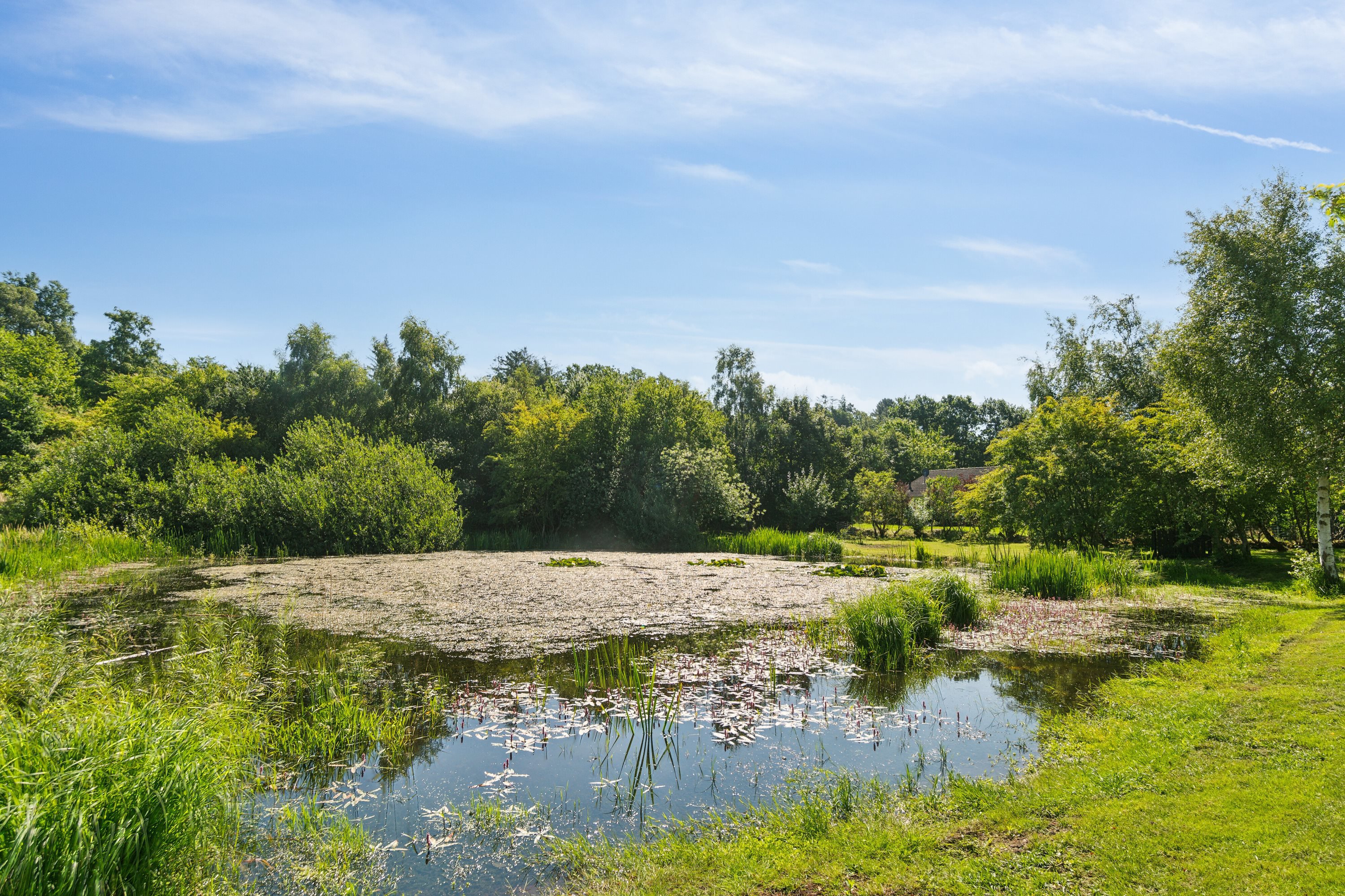 Fremhævet  billede i fuldskærmstilstand. Billede af Klokkerholm 5, Vistoft, 8420 Knebel