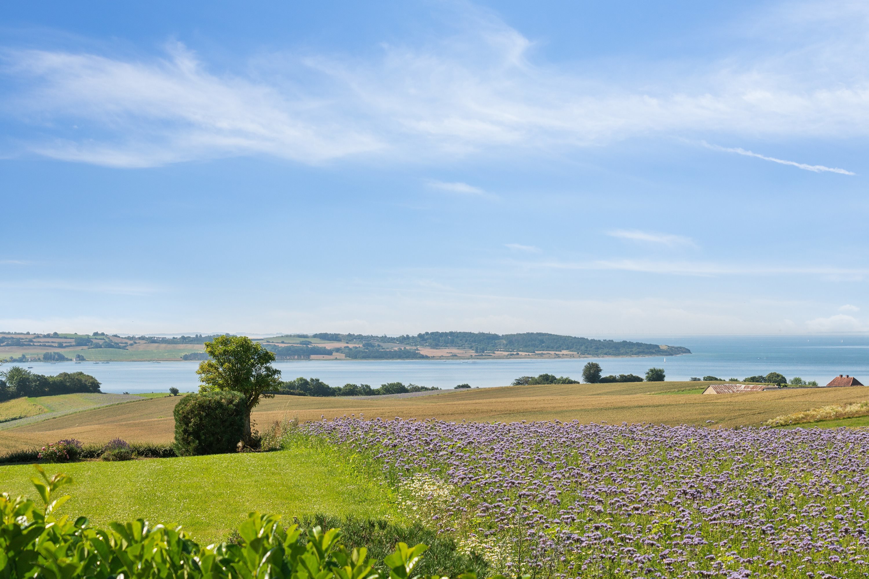 Fremhævet  billede i fuldskærmstilstand. Billede af Klokkerholm 5, Vistoft, 8420 Knebel