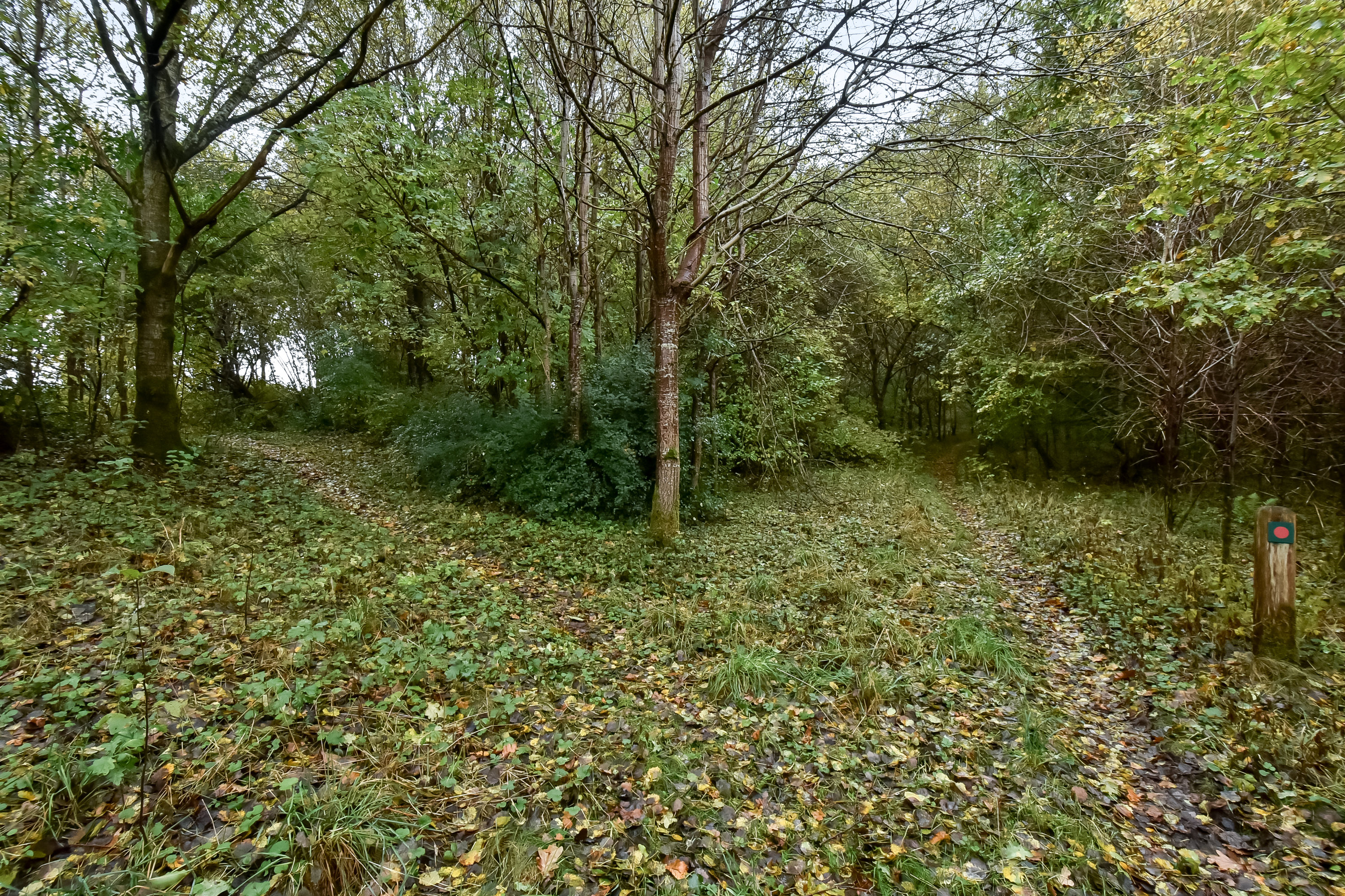 Fremhævet  billede i fuldskærmstilstand. Billede af Bøgens Kvarter 41, Skovbyen, 7400 Herning