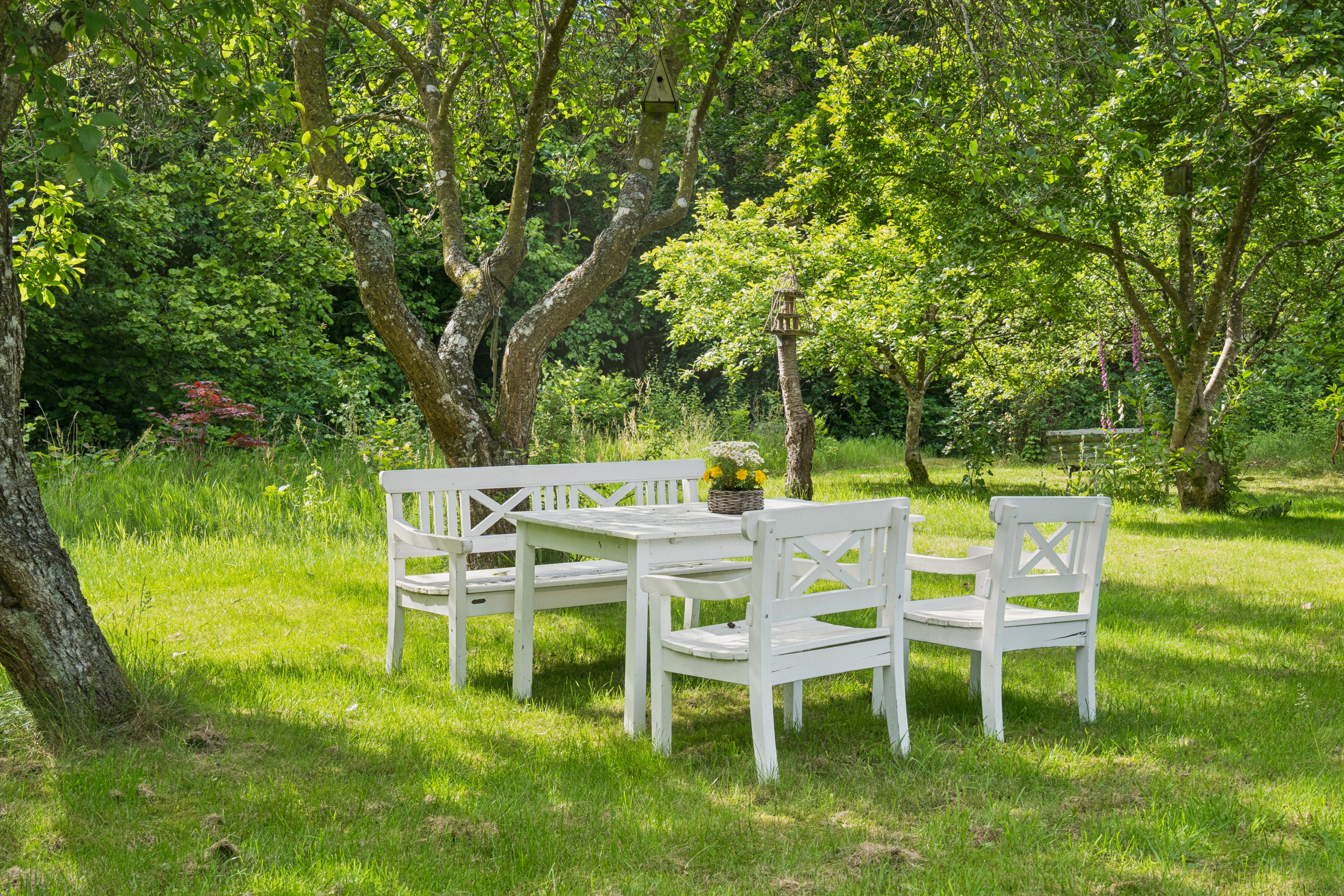 Fremhævet  billede i fuldskærmstilstand. Billede af Frydenstrand 62, Mou, 9280 Storvorde