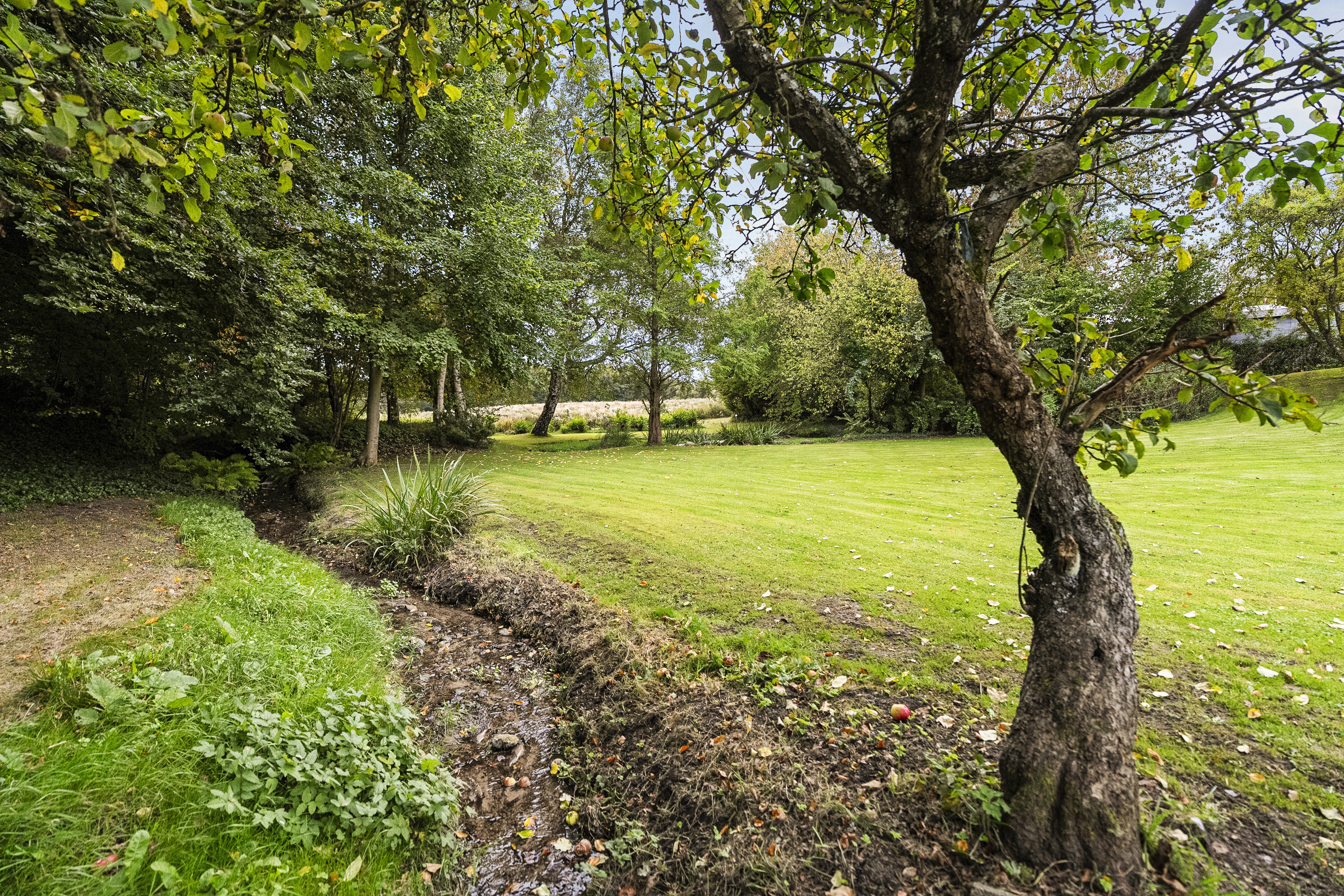 Fremhævet  billede i fuldskærmstilstand. Billede af Søndergade 23, 8783 Hornsyld