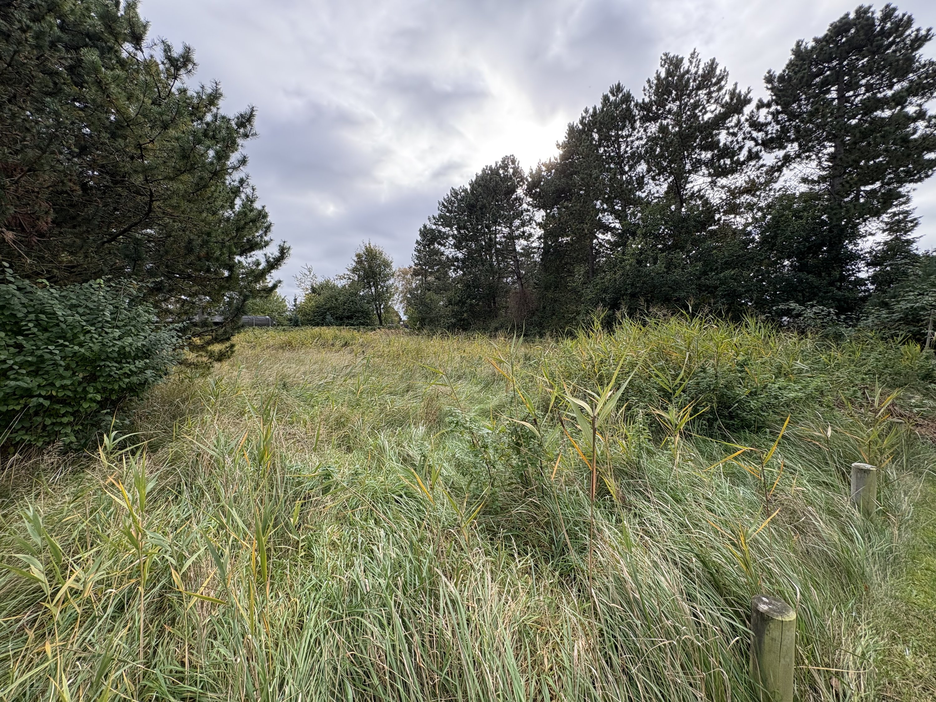 Fritidsgrund på Stenurtvej 20, 4873 Væggerløse