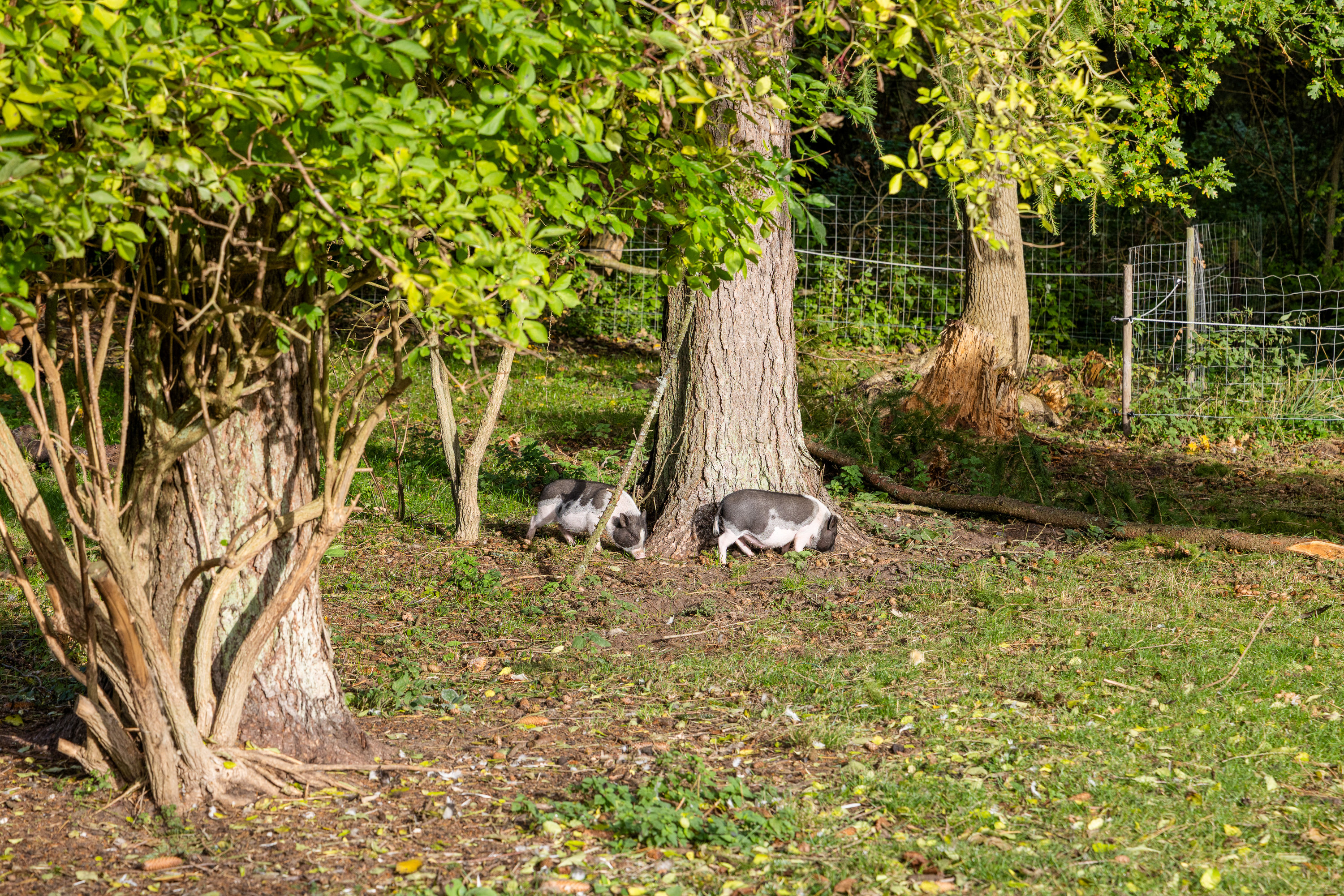Fremhævet facade billede i fuldskærmstilstand. Billede af Odensevej 214, 5600 Faaborg