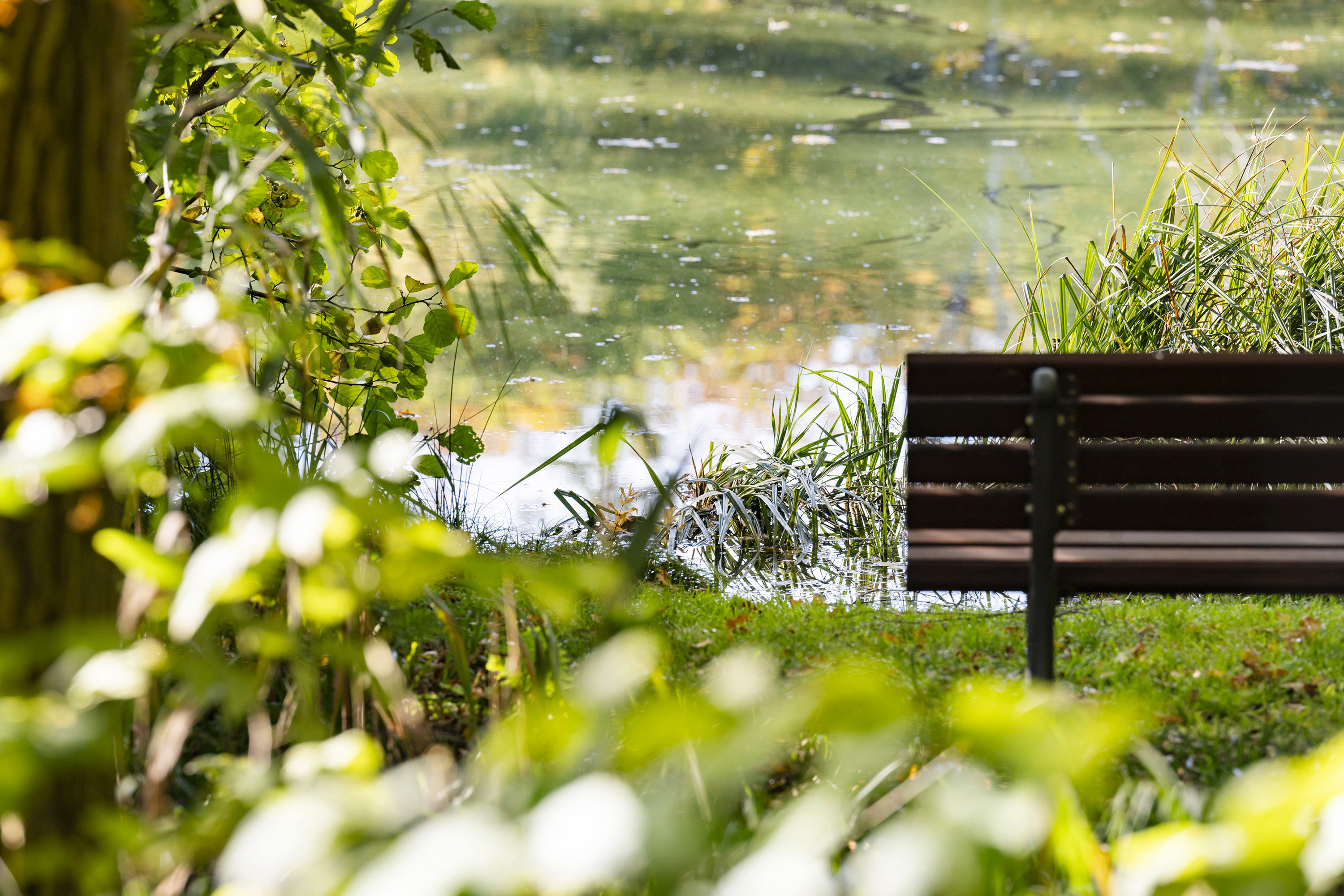 Fremhævet ejendommen billede i fuldskærmstilstand. Billede af Søllerød Park 15, st.. 5., Søllerød, 2840 Holte