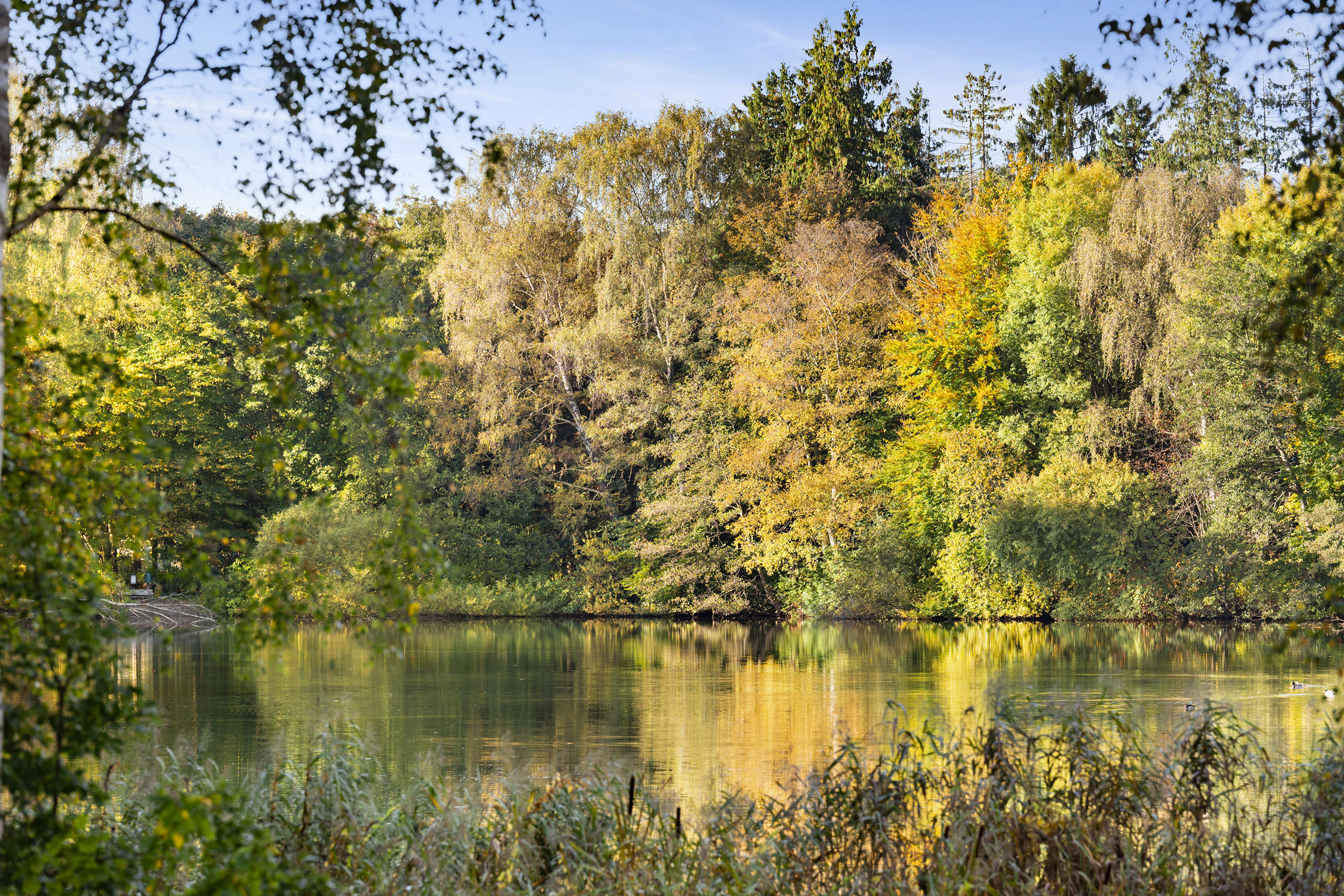 Fremhævet område billede i fuldskærmstilstand. Billede af Søllerød Park 15, st.. 5., Søllerød, 2840 Holte