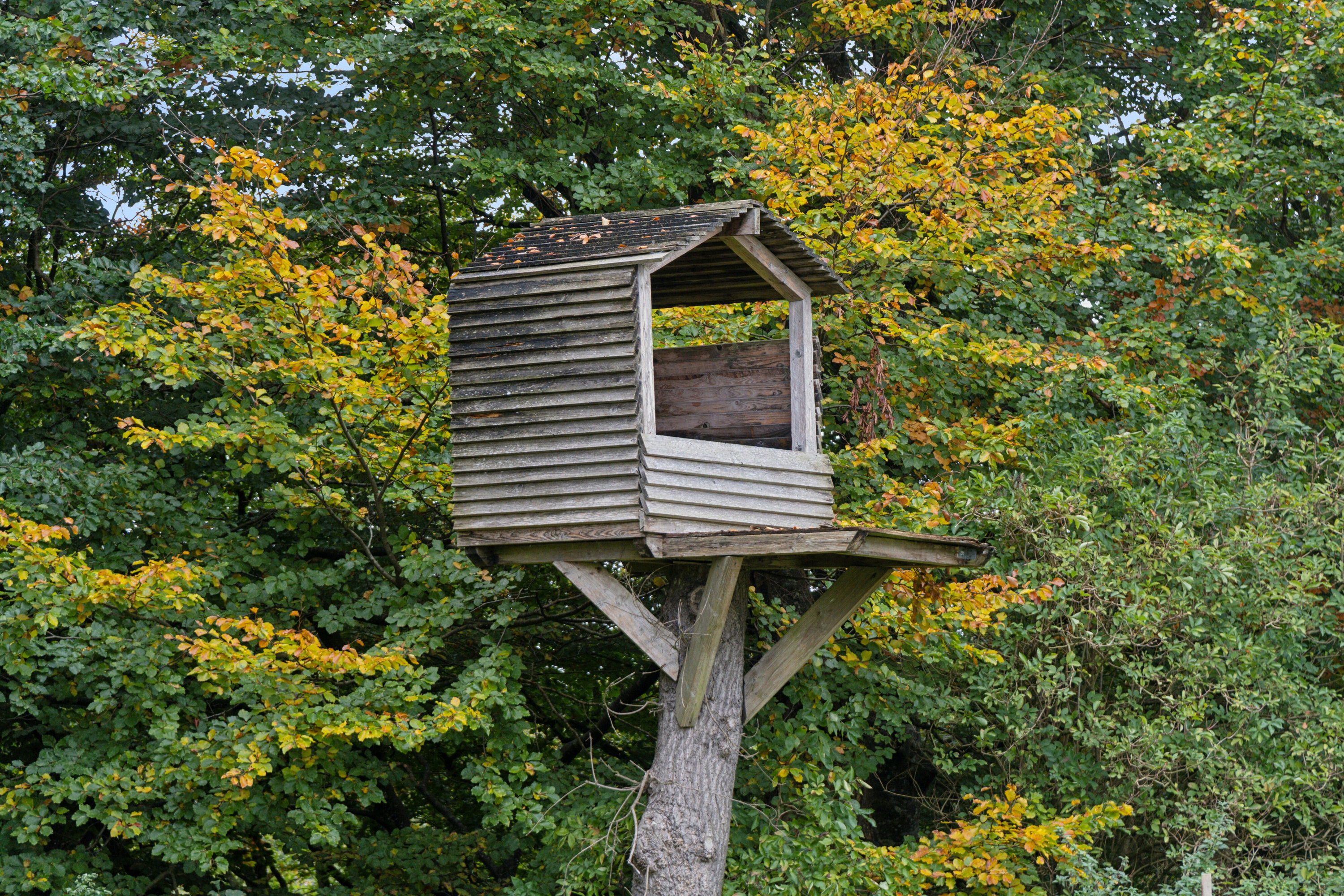 Fremhævet udendørs billede i fuldskærmstilstand. Billede af Vindumvej 157, 8840 Rødkærsbro