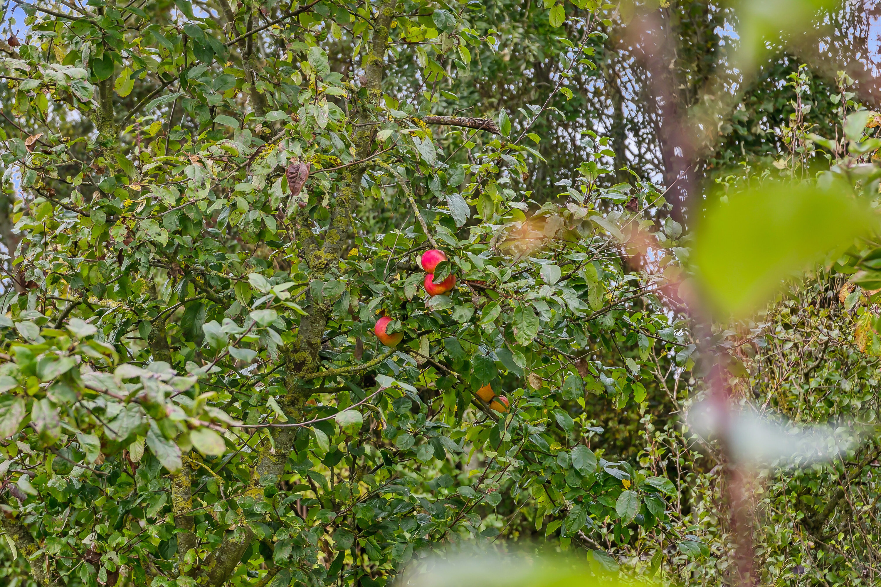 Fremhævet udsigt billede i fuldskærmstilstand. Billede af Beerstedvej 13, Beersted, 7700 Thisted