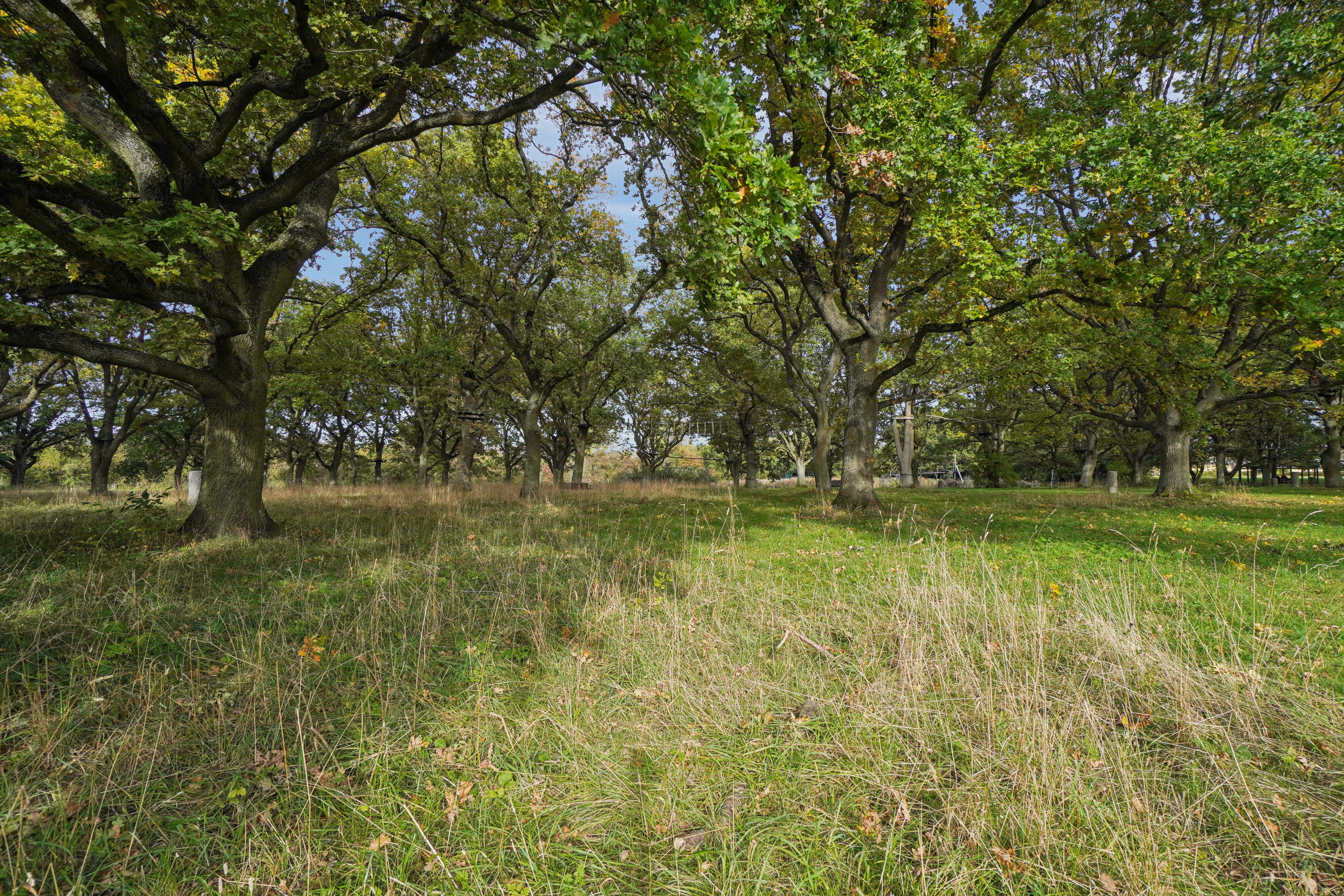 Fremhævet have billede i fuldskærmstilstand. Billede af Stadionvej 94, 3. 1., 2600 Glostrup