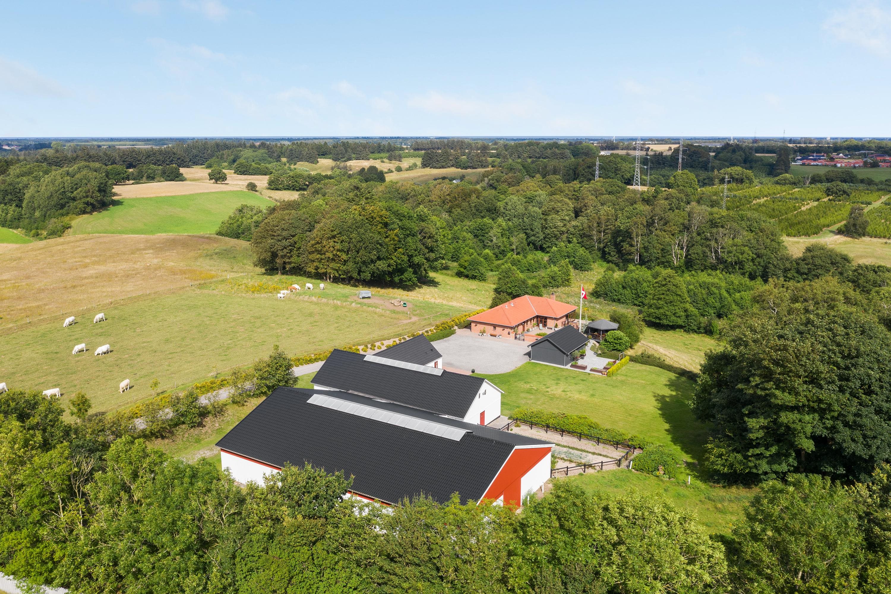 Miniaturebillede 1: luftfoto. Billede af Eskærvej 10, Mejling, 9900 Frederikshavn