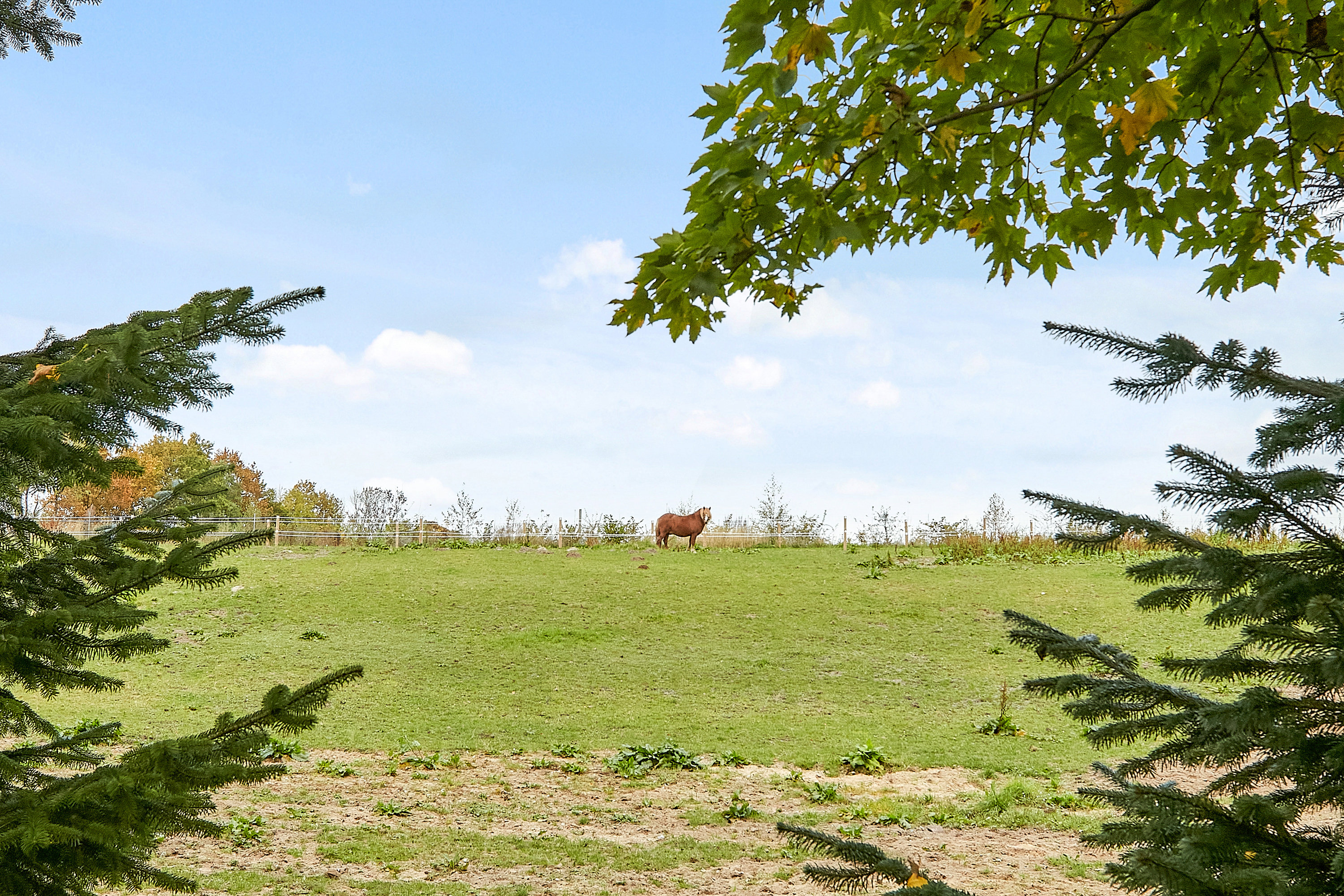 Miniaturebillede 1: . Billede af Vejlevej 154, Riis, 7323 Give