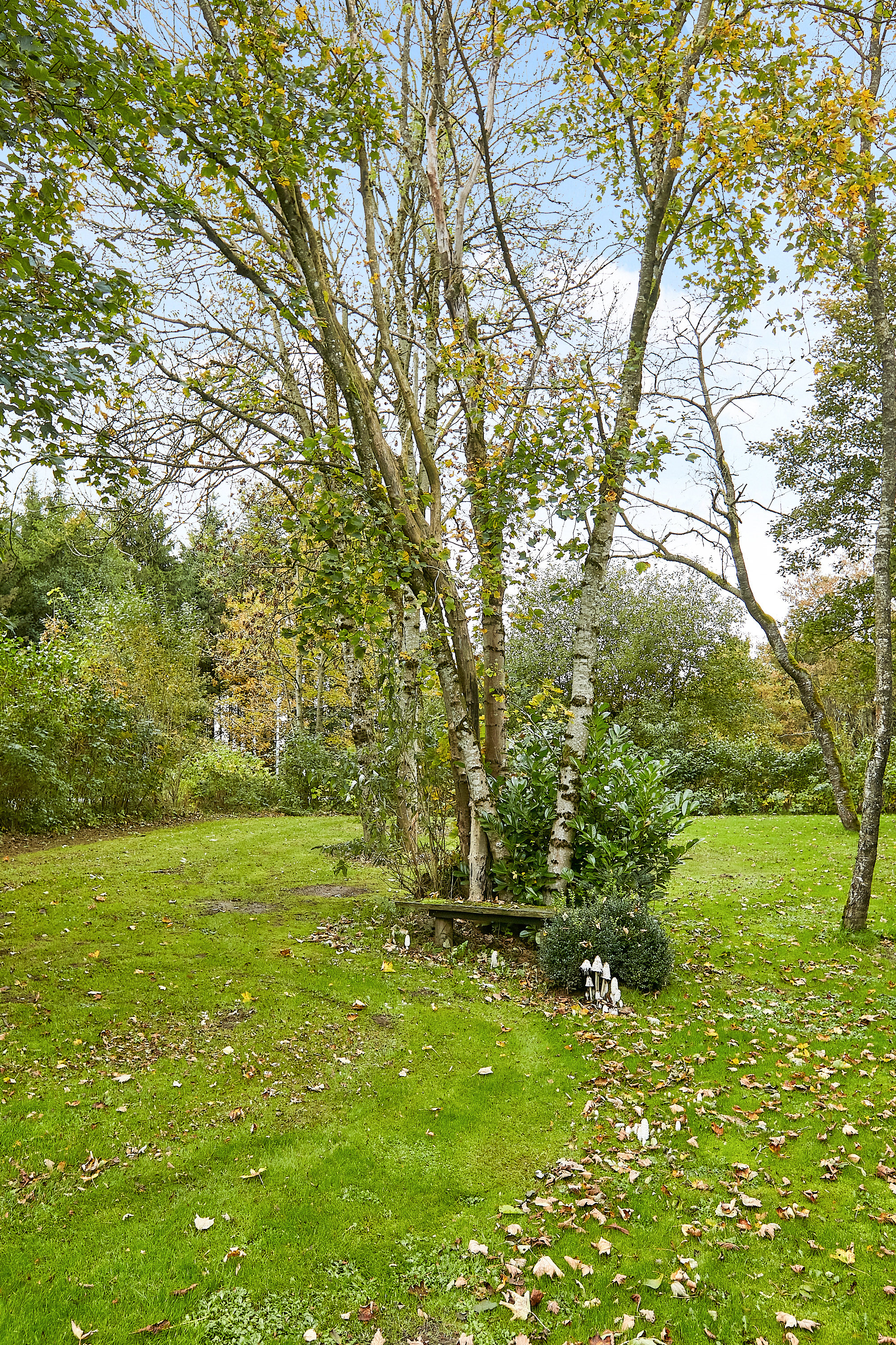 Fremhævet  billede i fuldskærmstilstand. Billede af Vejlevej 154, Riis, 7323 Give