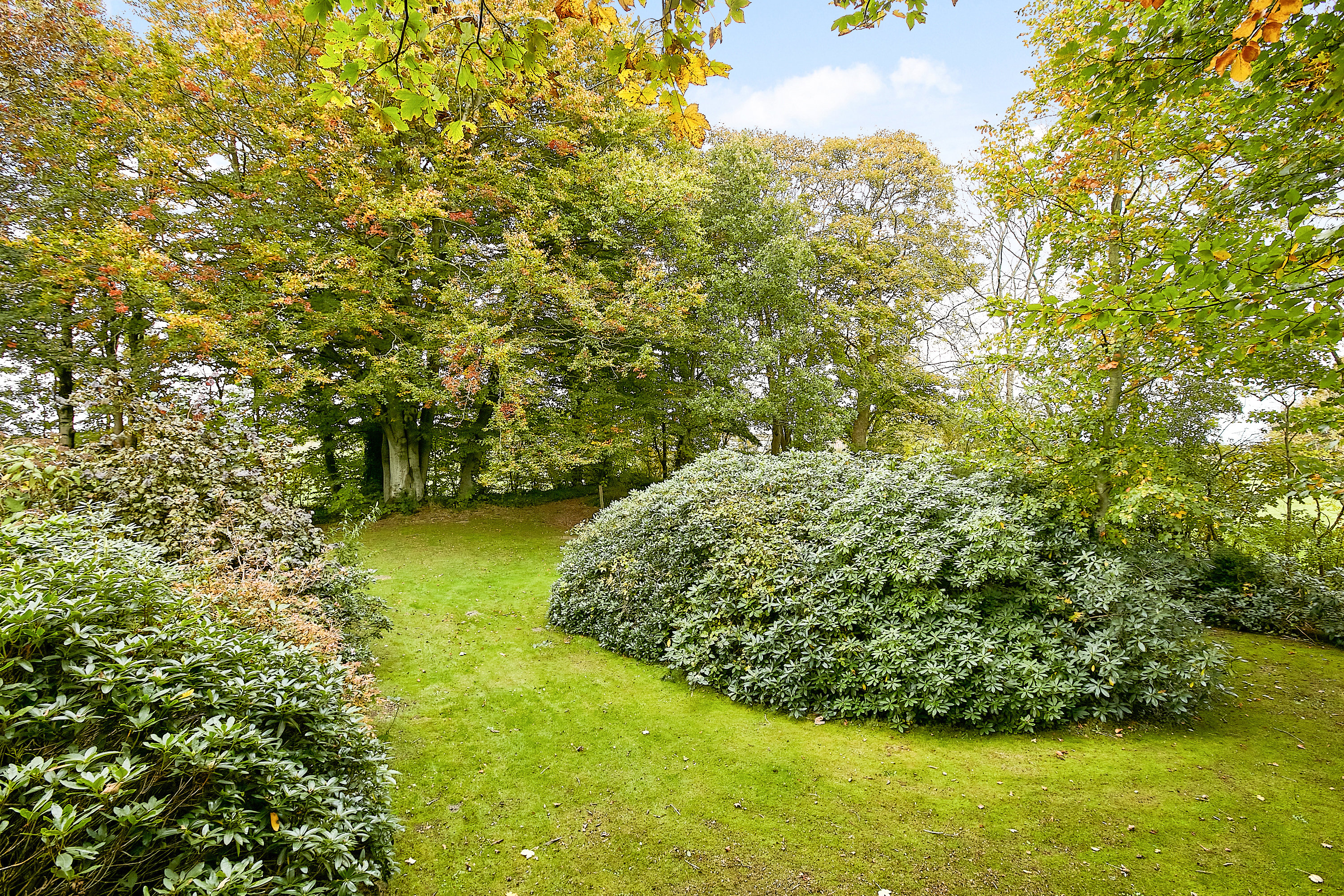 Fremhævet  billede i fuldskærmstilstand. Billede af Vejlevej 154, Riis, 7323 Give