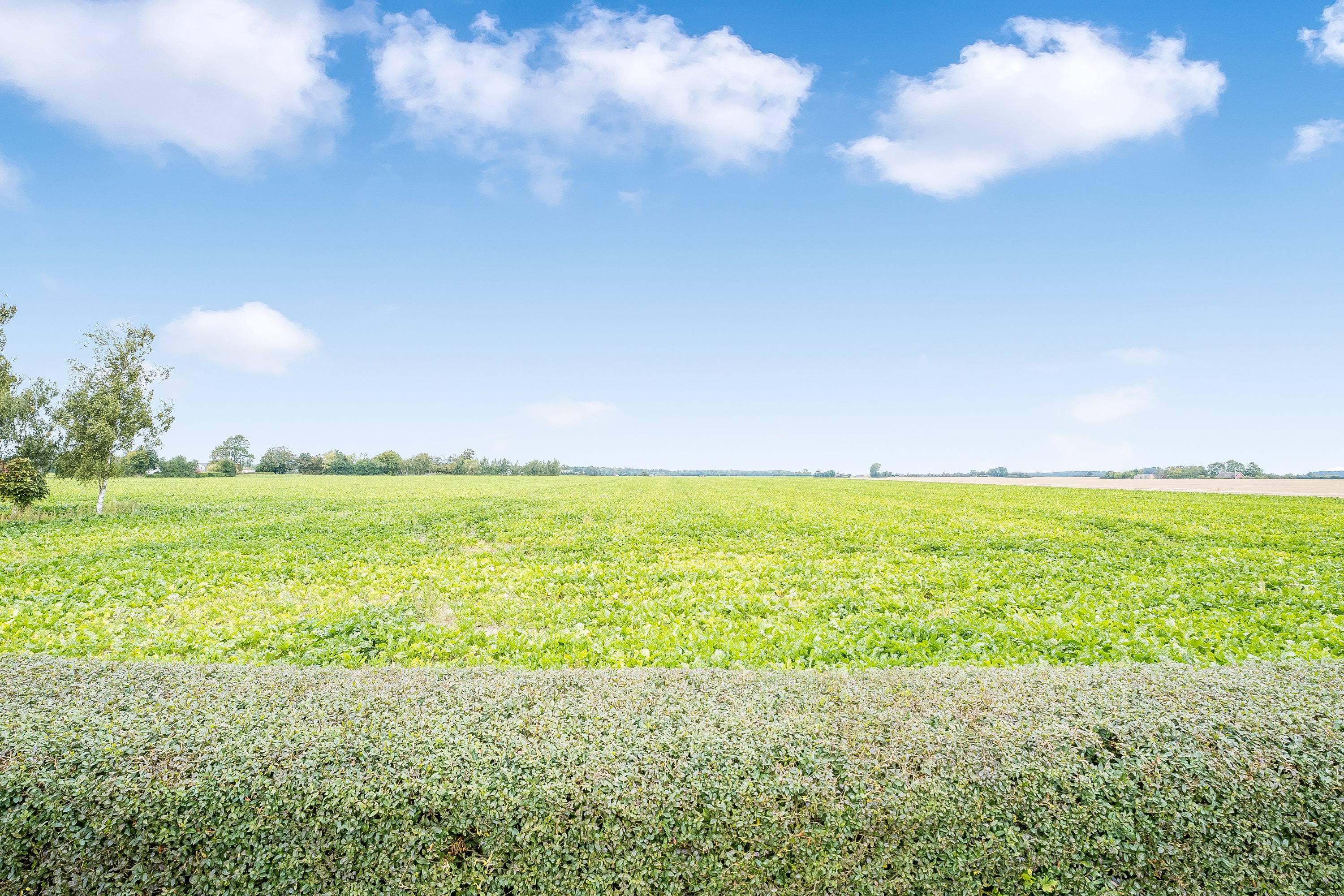 Fremhævet udsigt billede i fuldskærmstilstand. Billede af Skørringevej 28, 4930 Maribo