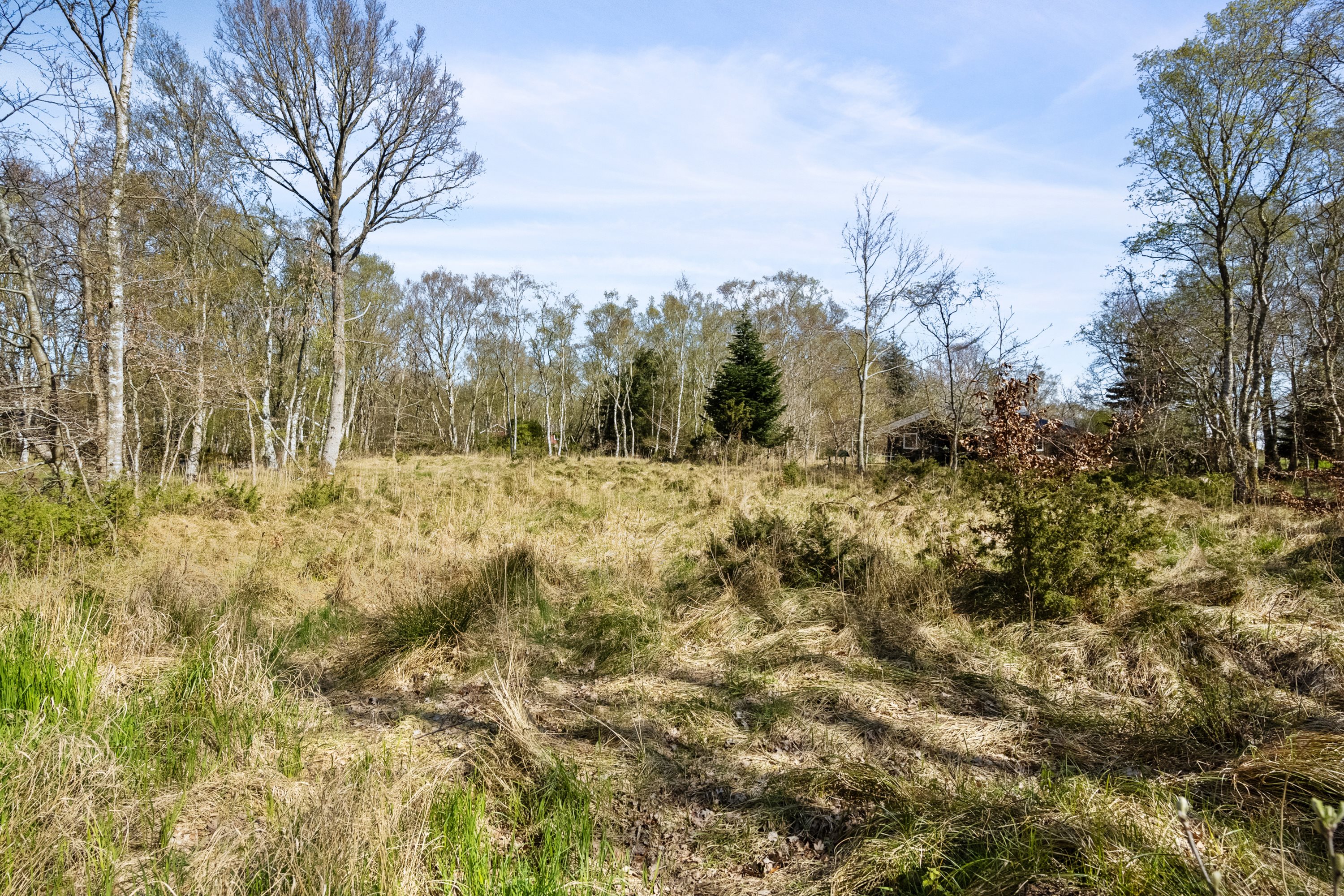 Miniaturebillede 1: . Billede af Jægerskoven 42, Helberskov, 9560 Hadsund