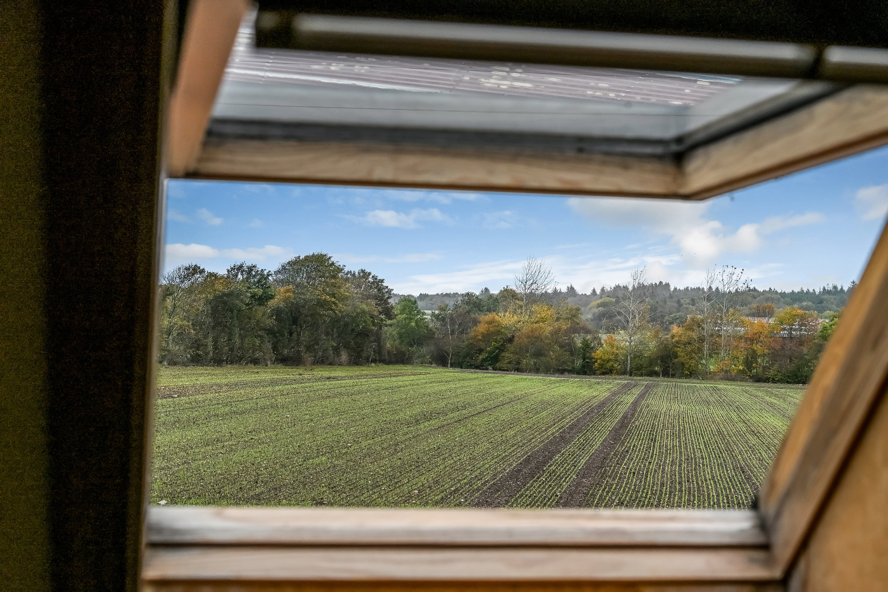 Fremhævet område billede i fuldskærmstilstand. Billede af Jegsmarkvej 18, Guldager, 6710 Esbjerg V