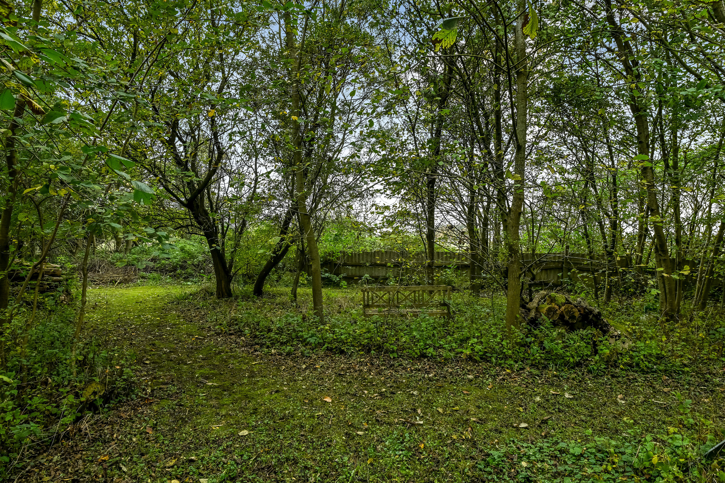 Miniaturebillede 2: have. Billede af Jegsmarkvej 18, Guldager, 6710 Esbjerg V