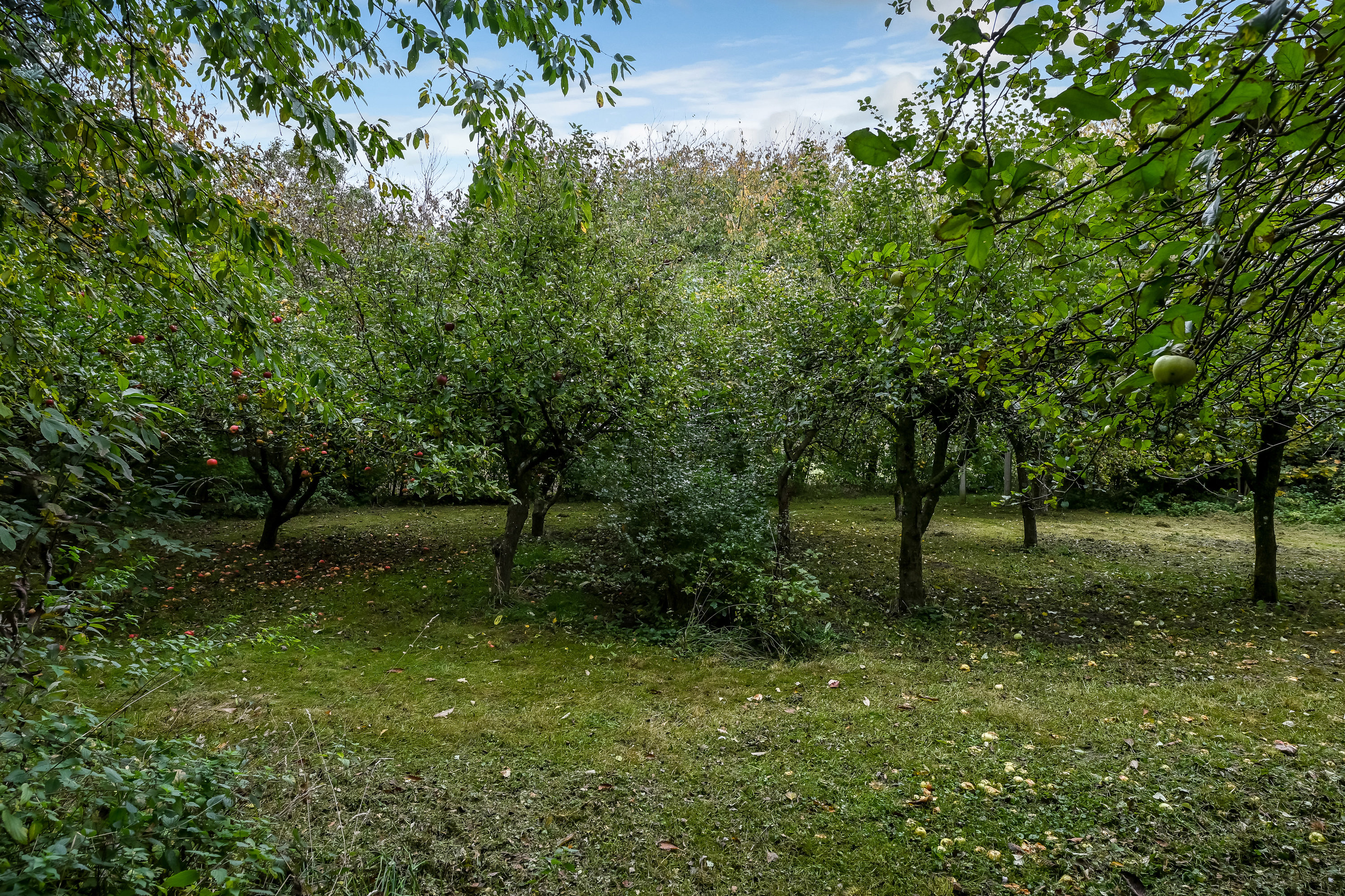 Fremhævet have billede i fuldskærmstilstand. Billede af Jegsmarkvej 18, Guldager, 6710 Esbjerg V