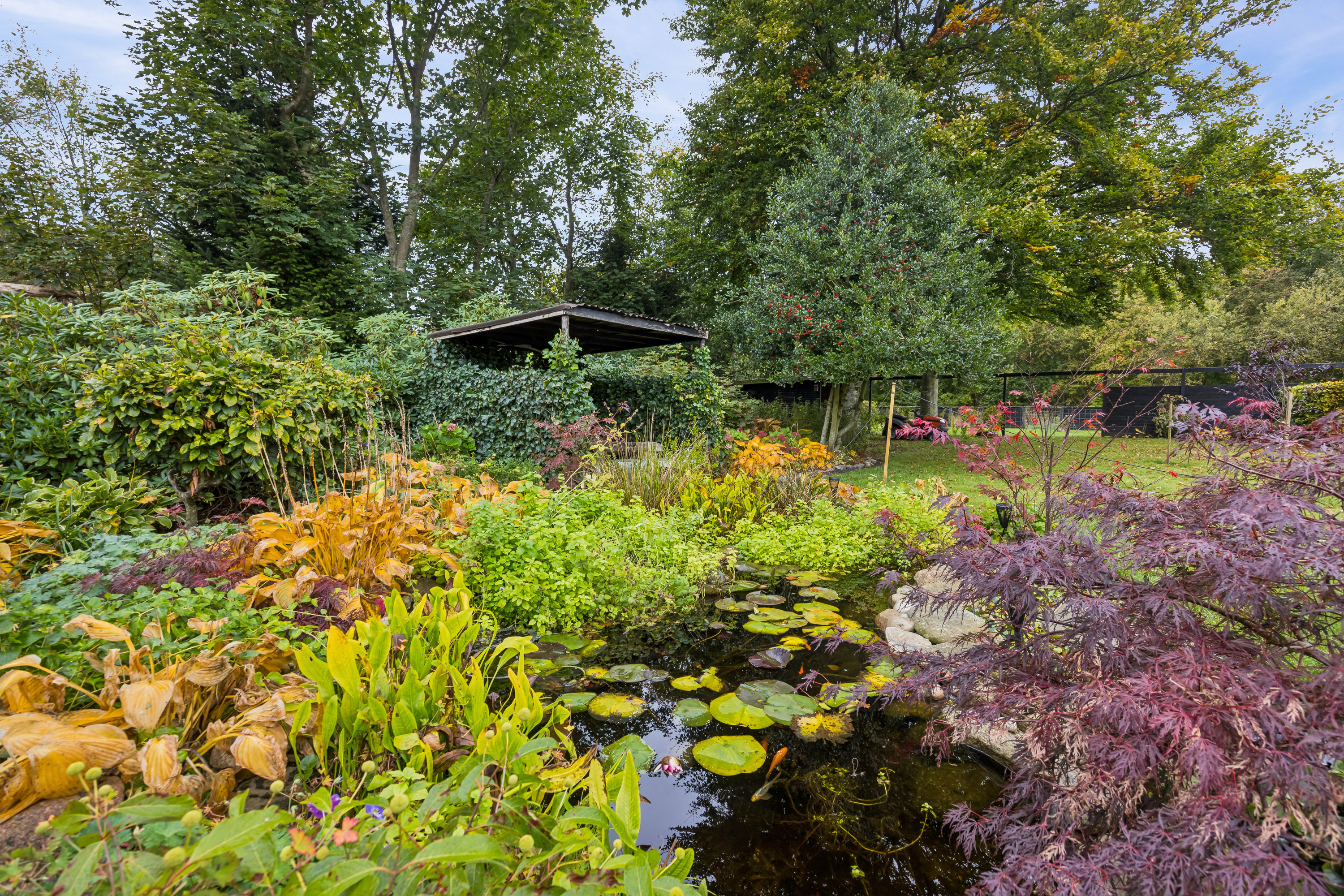 Fremhævet have billede i fuldskærmstilstand. Billede af Røde Hedevej 91, Kaas, 9490 Pandrup