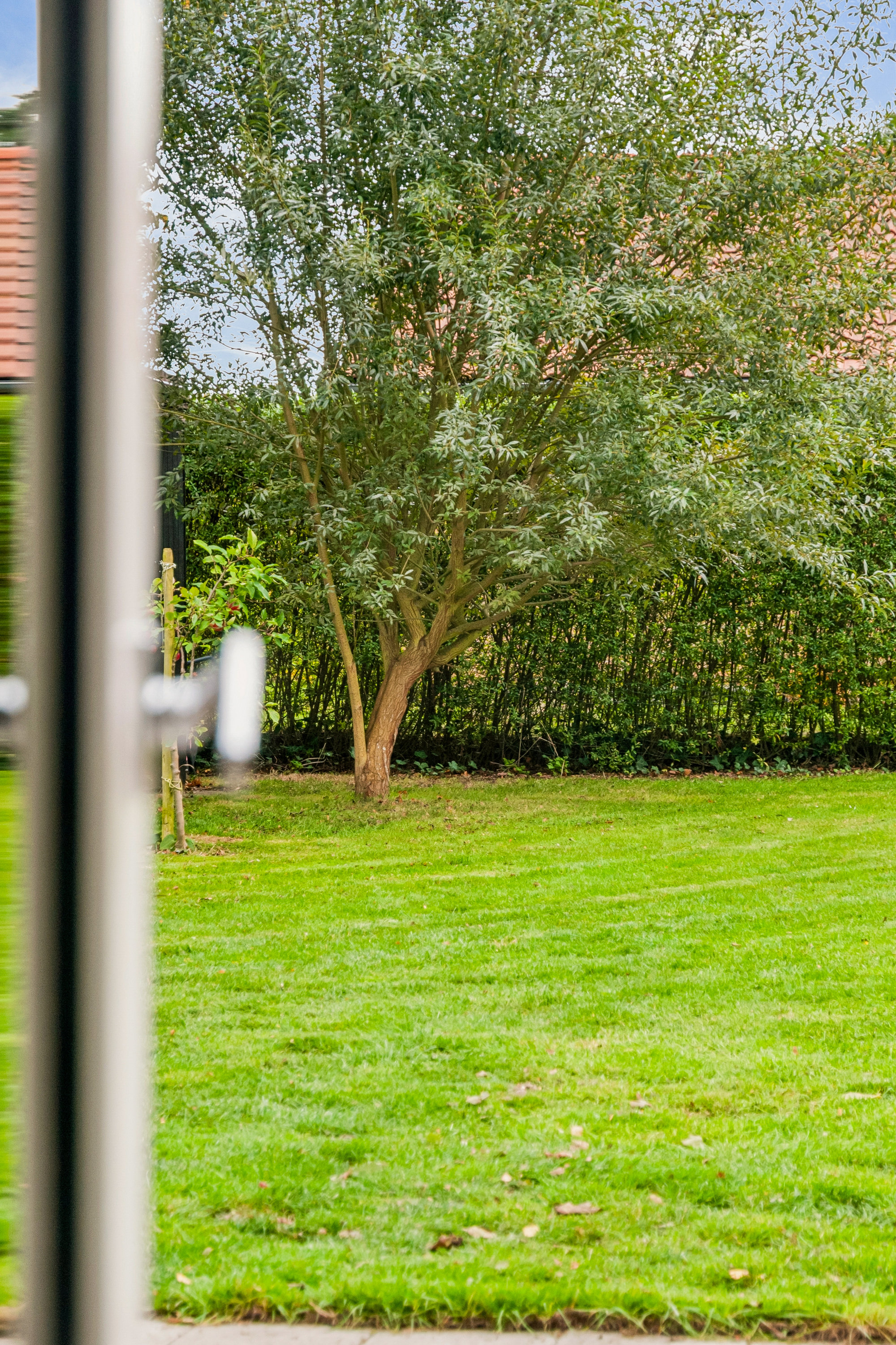 Fremhævet have billede i fuldskærmstilstand. Billede af Ryvej 7, 2791 Dragør