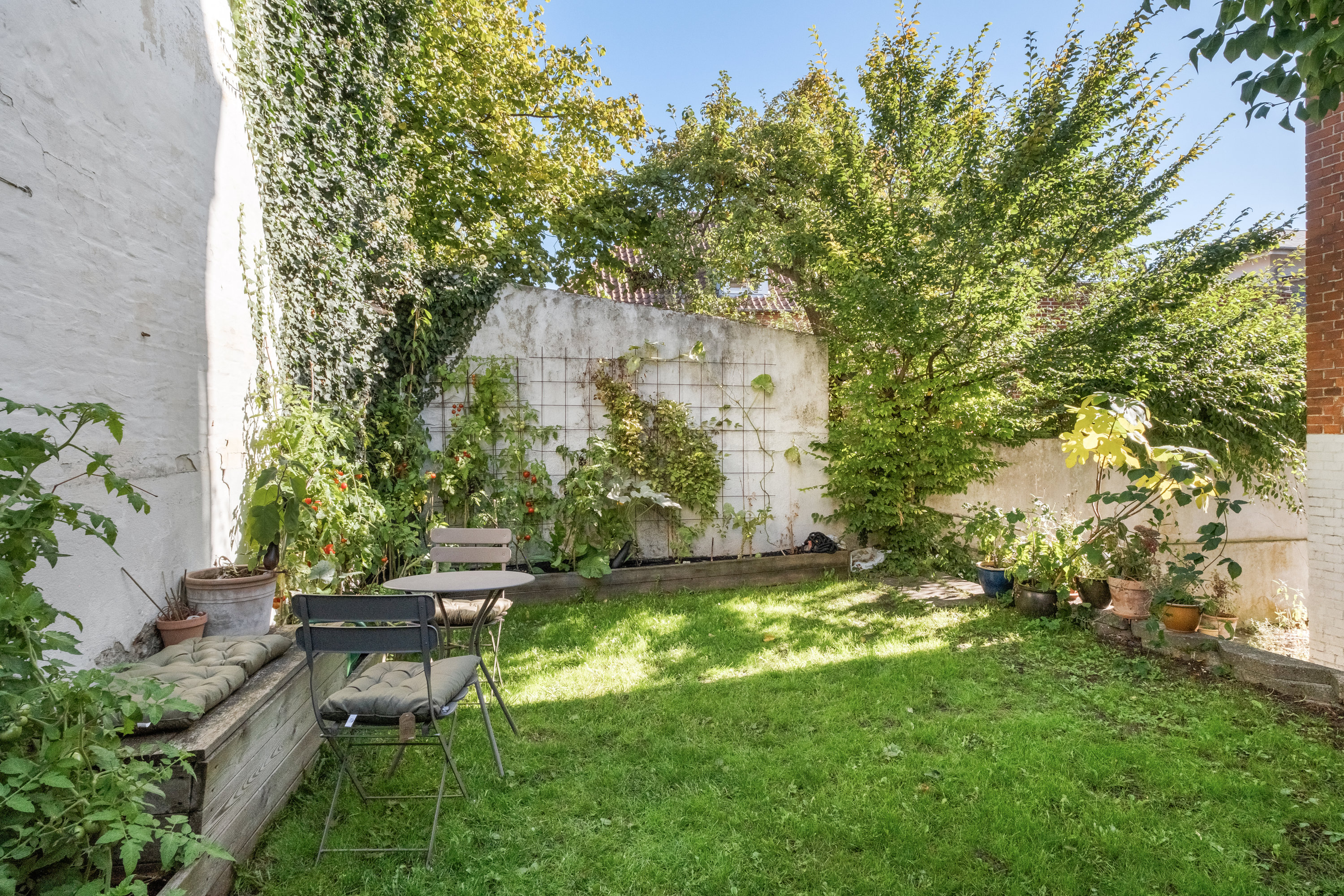 Fremhævet gårdmiljø billede i fuldskærmstilstand. Billede af Nørre Allé 46A, 2., 8000 Aarhus C